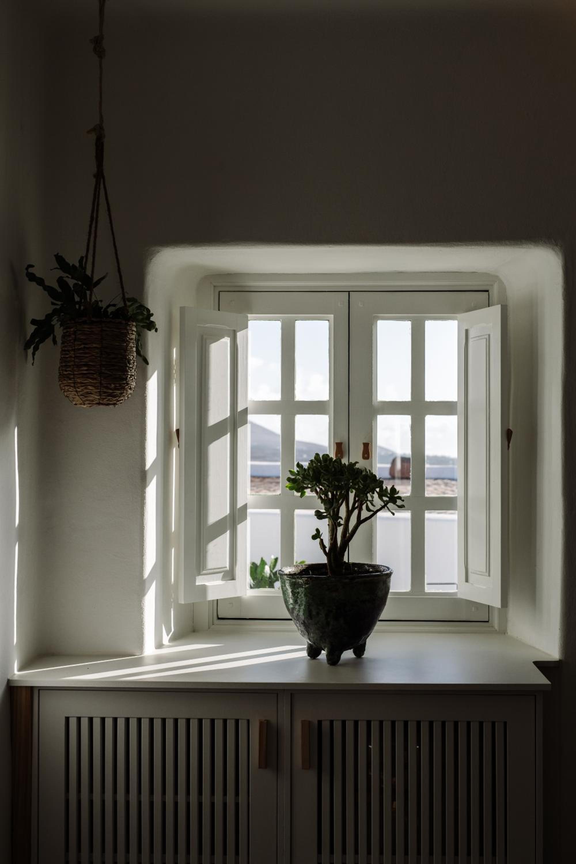 Suite with Terrace photo 2