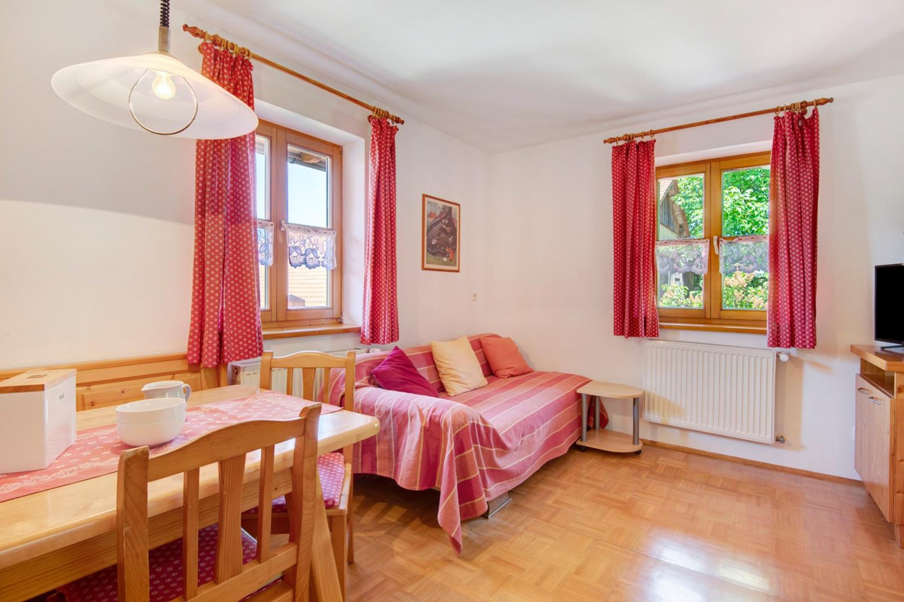 Superior One-Bedroom Apartment with Balcony photo 3