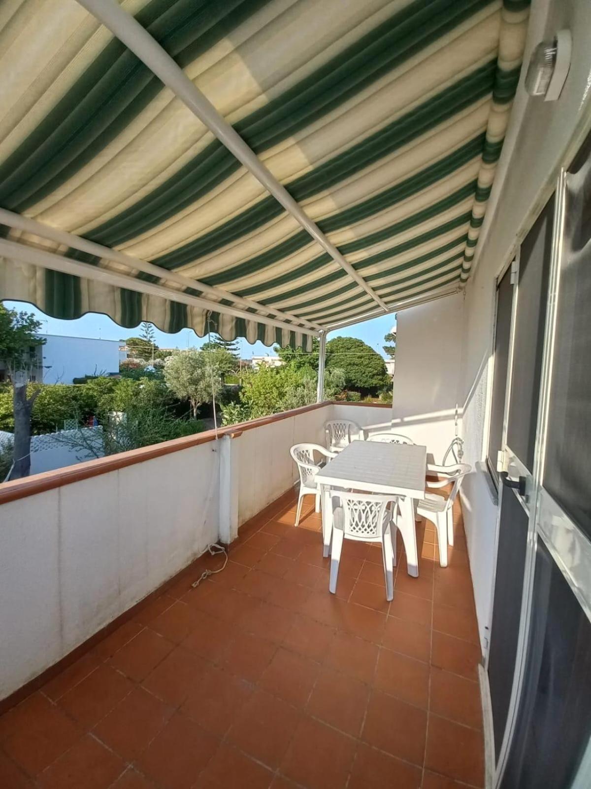 Apartment With Terrace photo 3