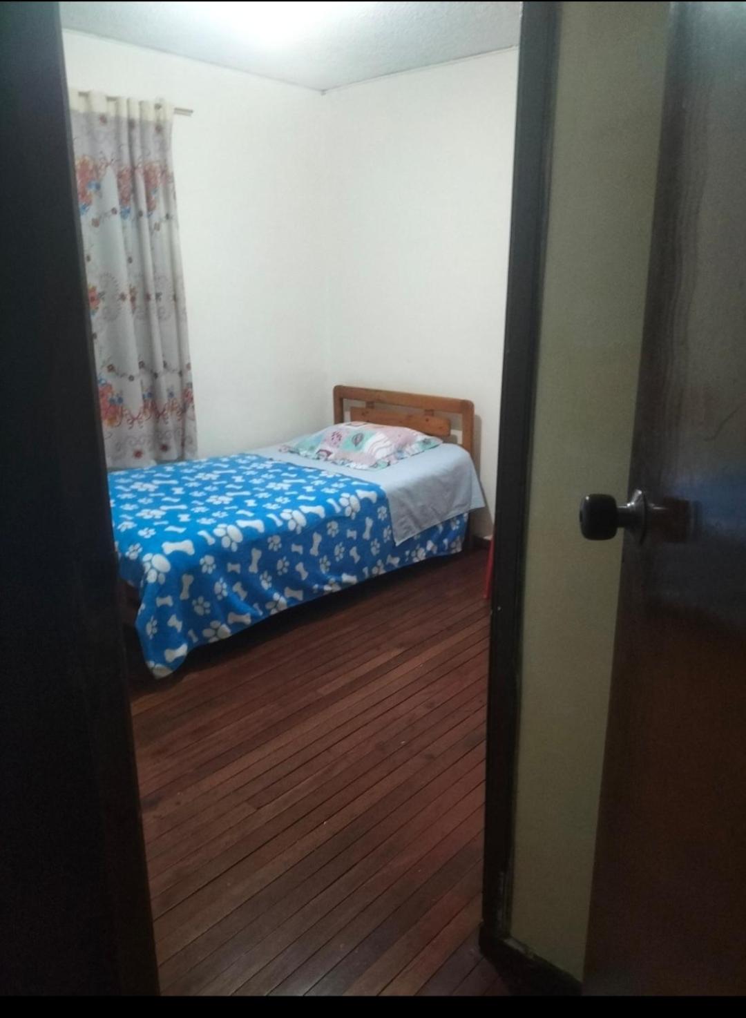 Single Room photo 3