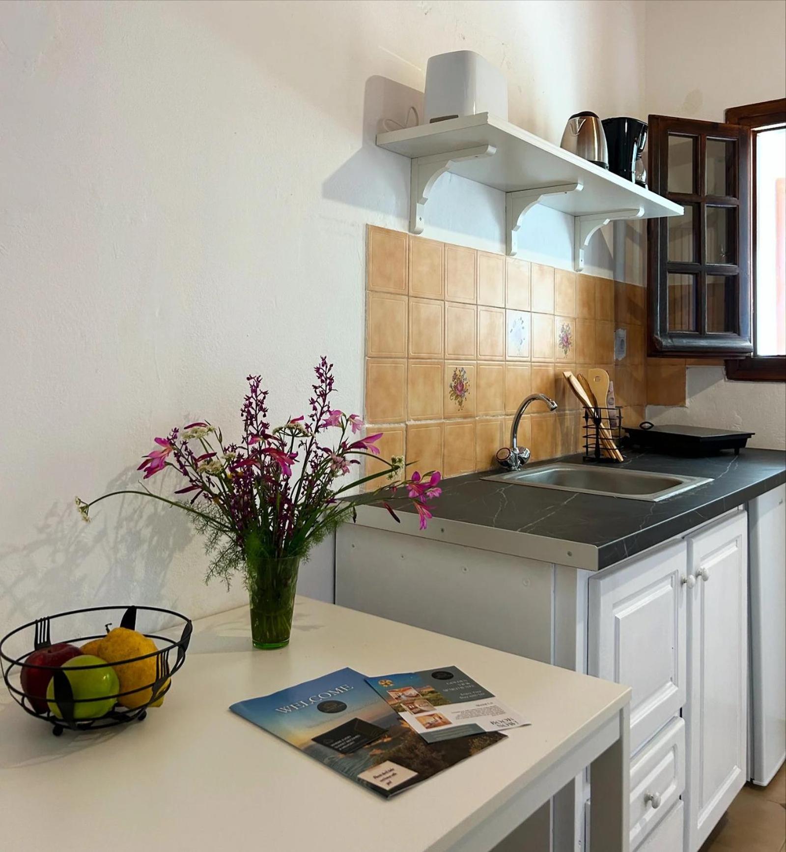 One-Bedroom Apartment with Terrace photo 2