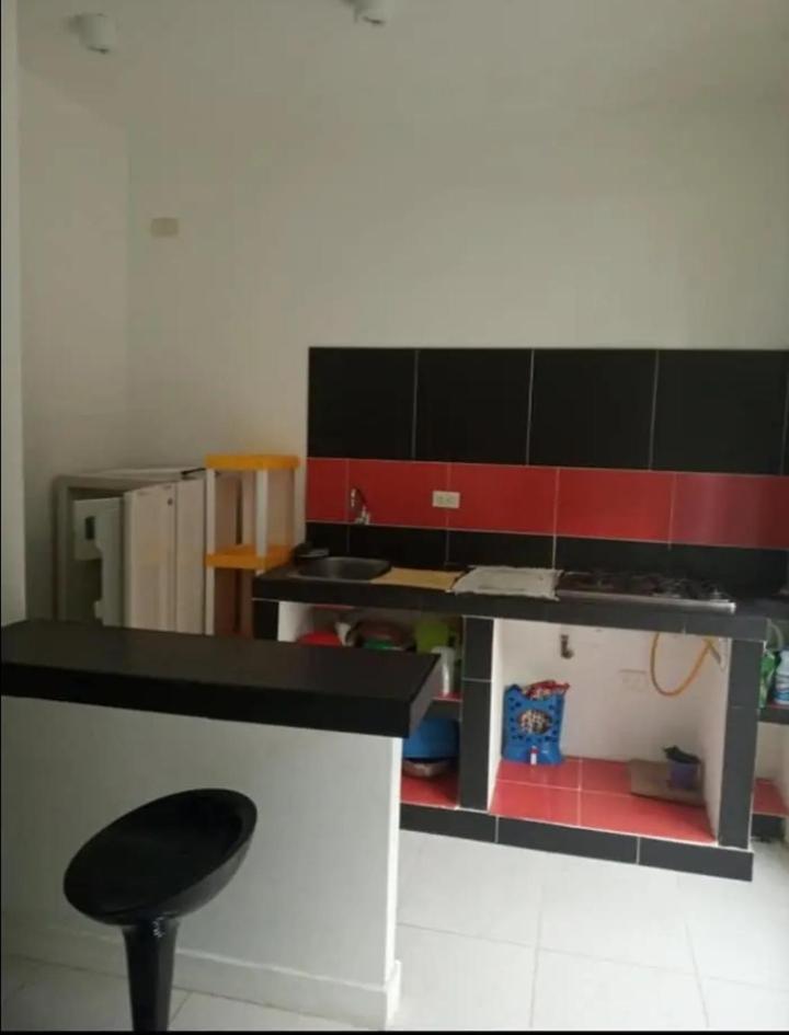 One-Bedroom Apartment photo 3