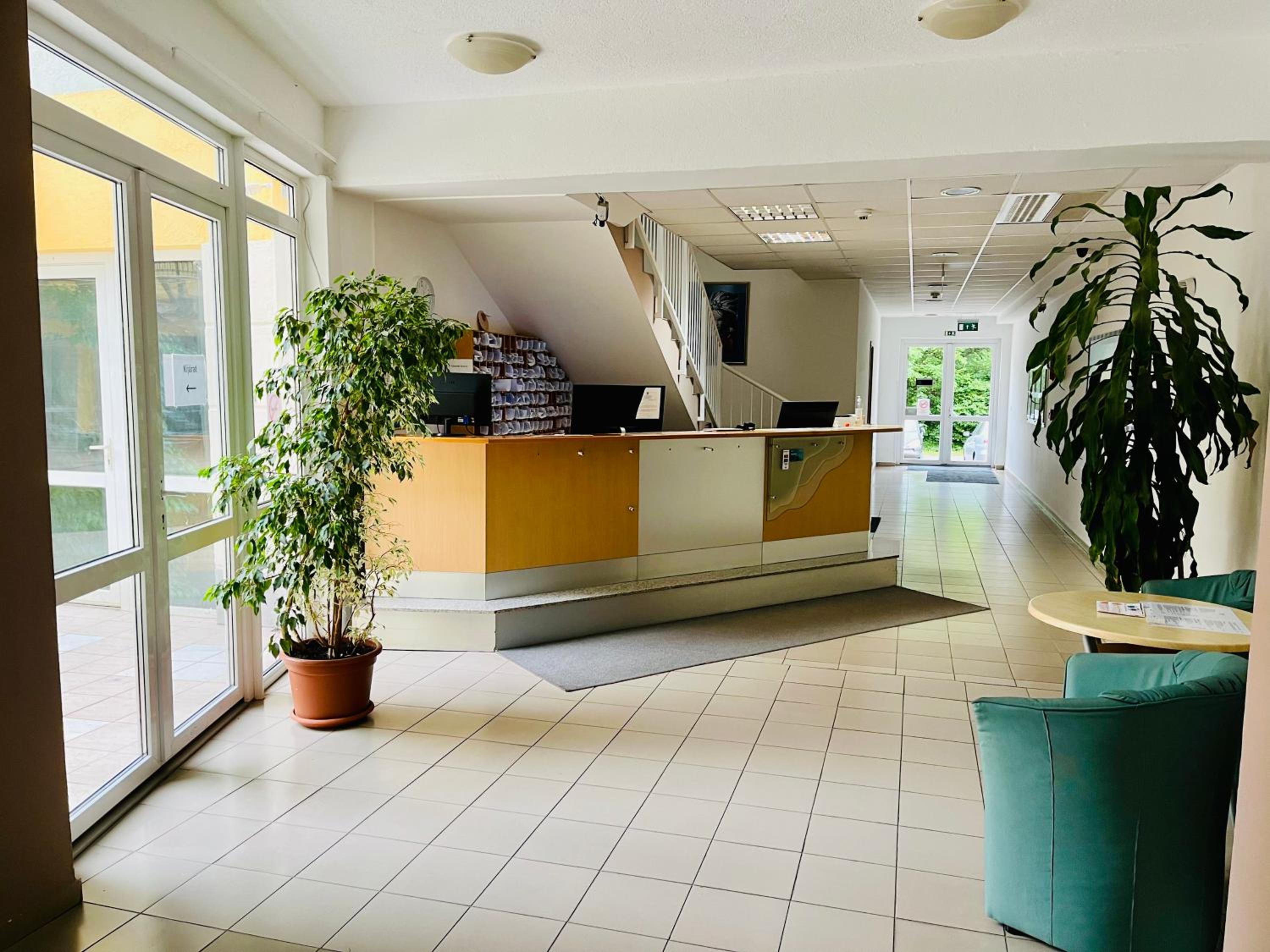 Apartment with Terrace photo 3