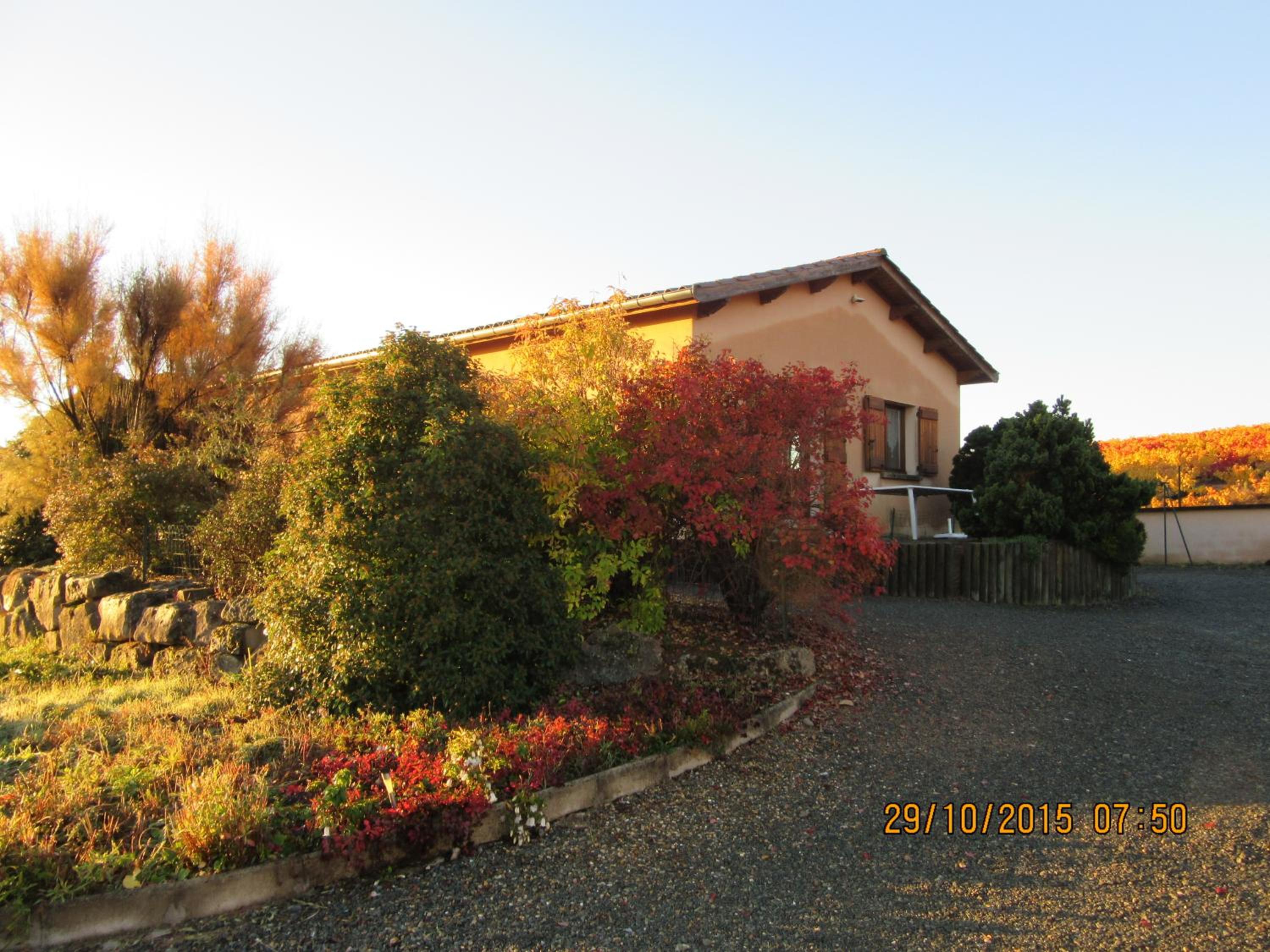 Three-Bedroom House photo 1