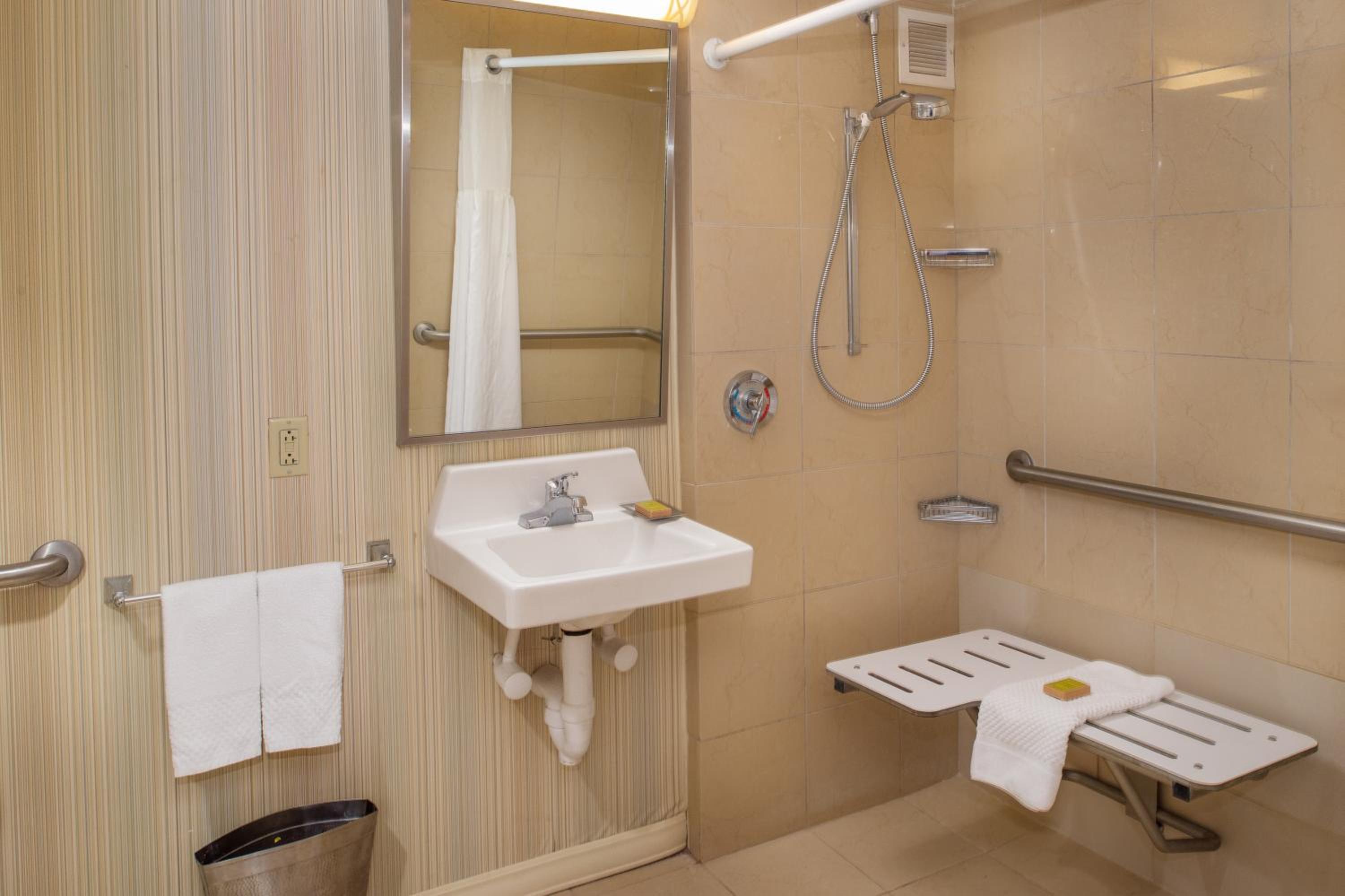 King Room with Roll-In Shower - Mobility Access - Photo 3