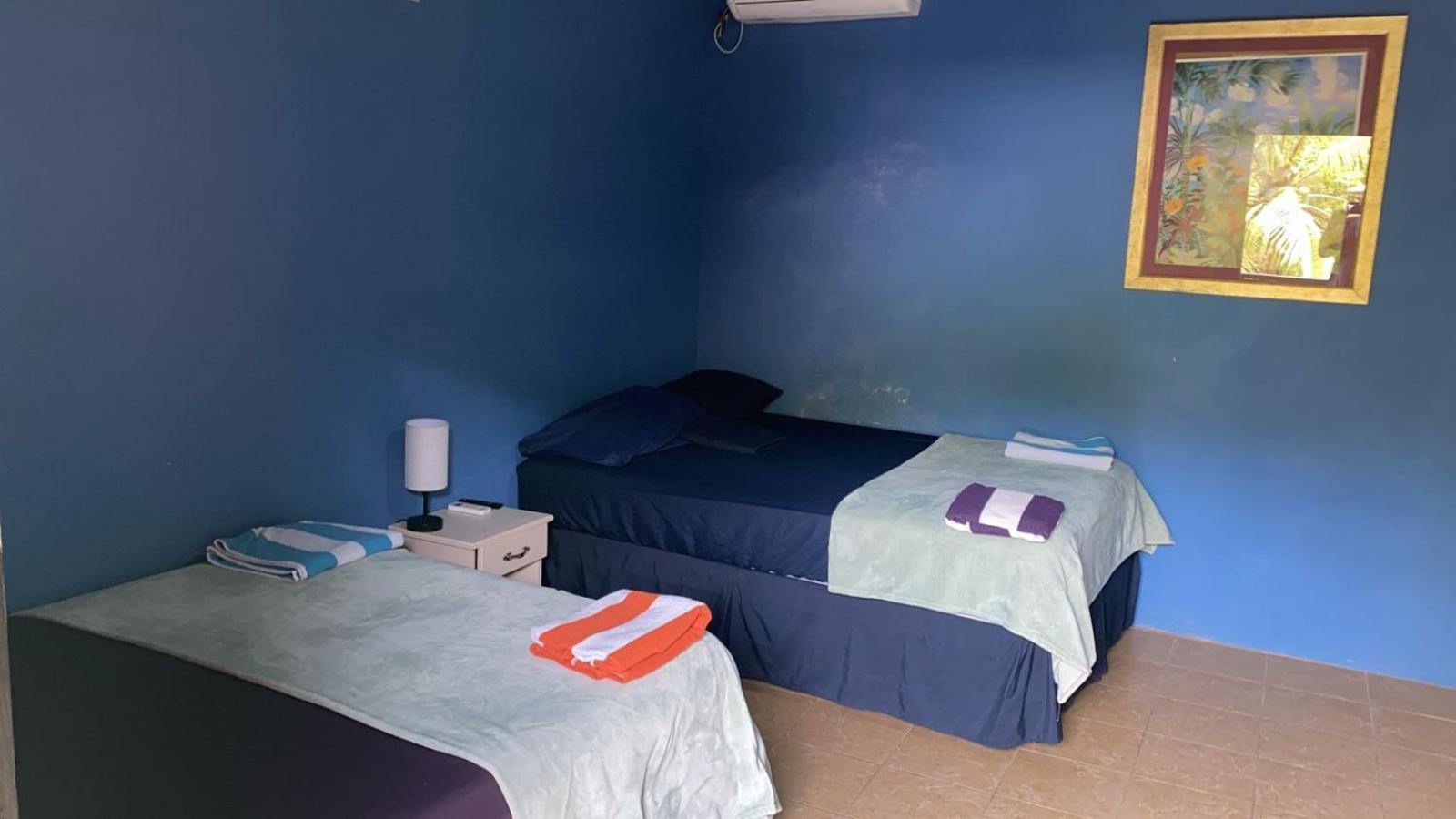 Deluxe Twin Room photo 2