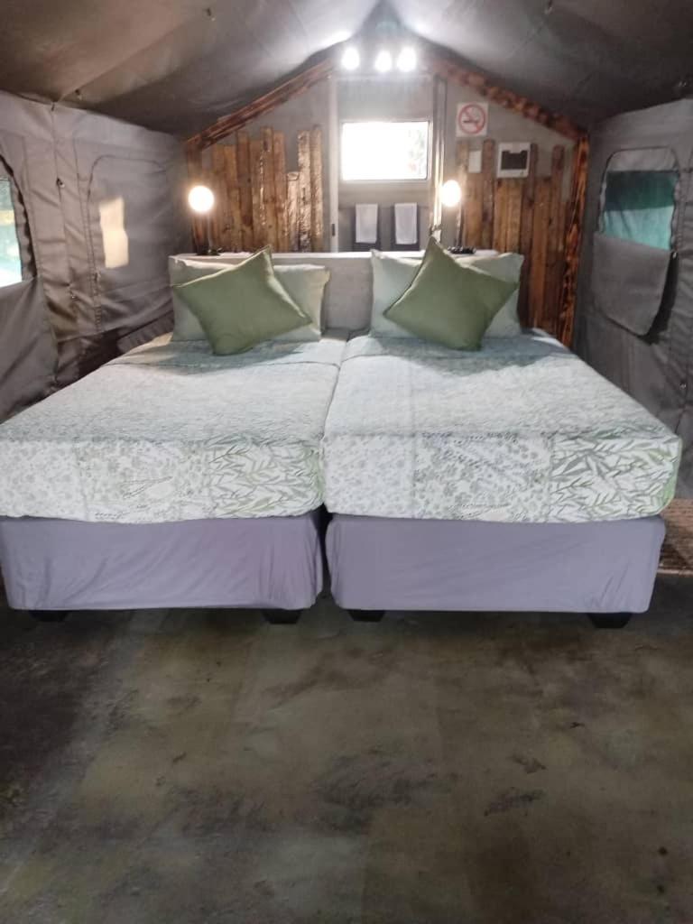 Tent photo 1