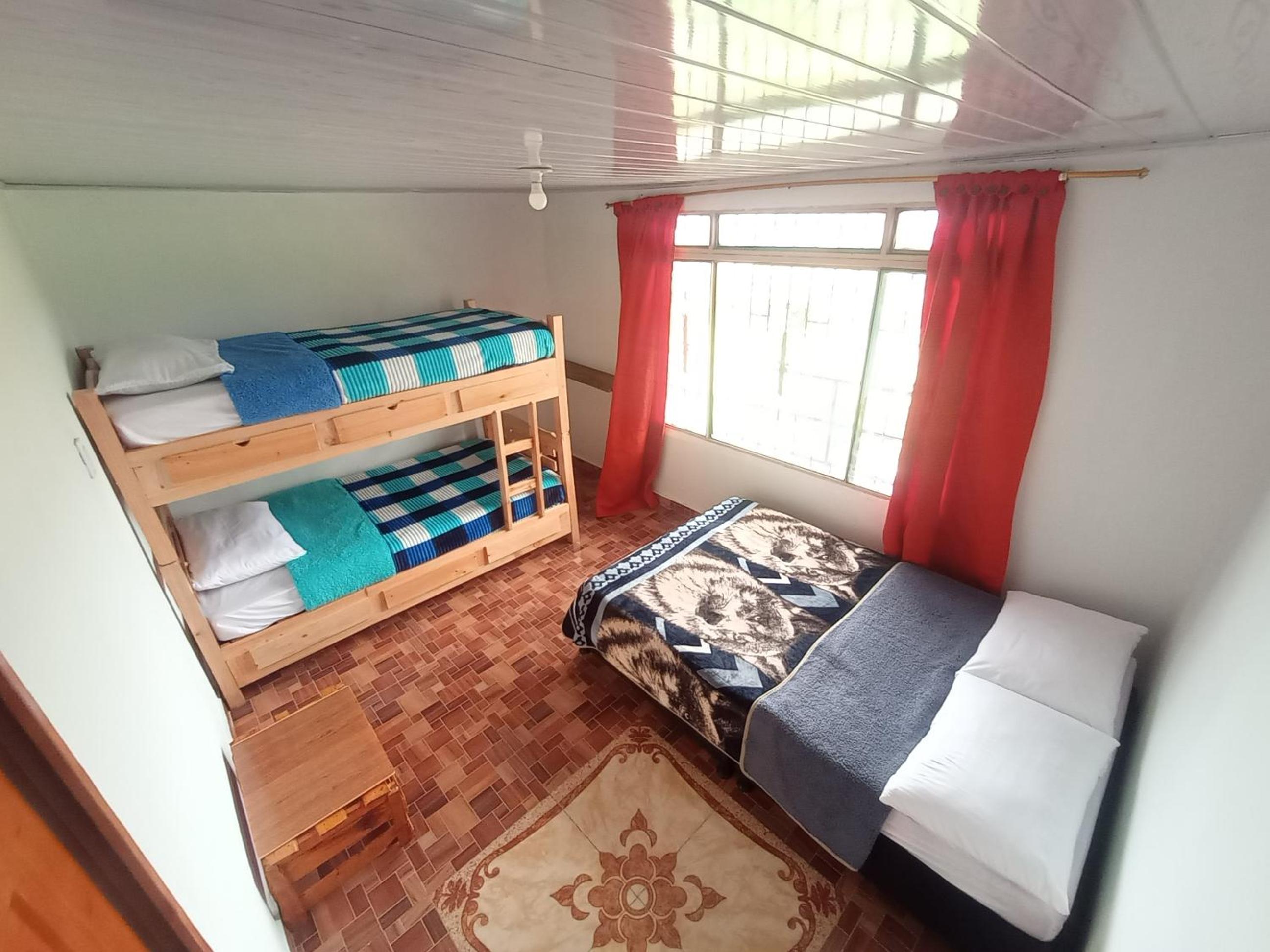 Standard Twin Room photo 1