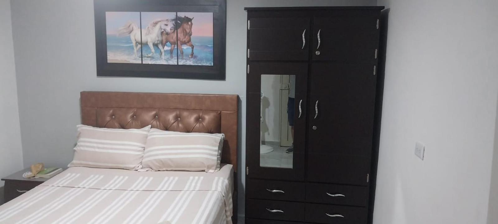 One-Bedroom Apartment photo 2