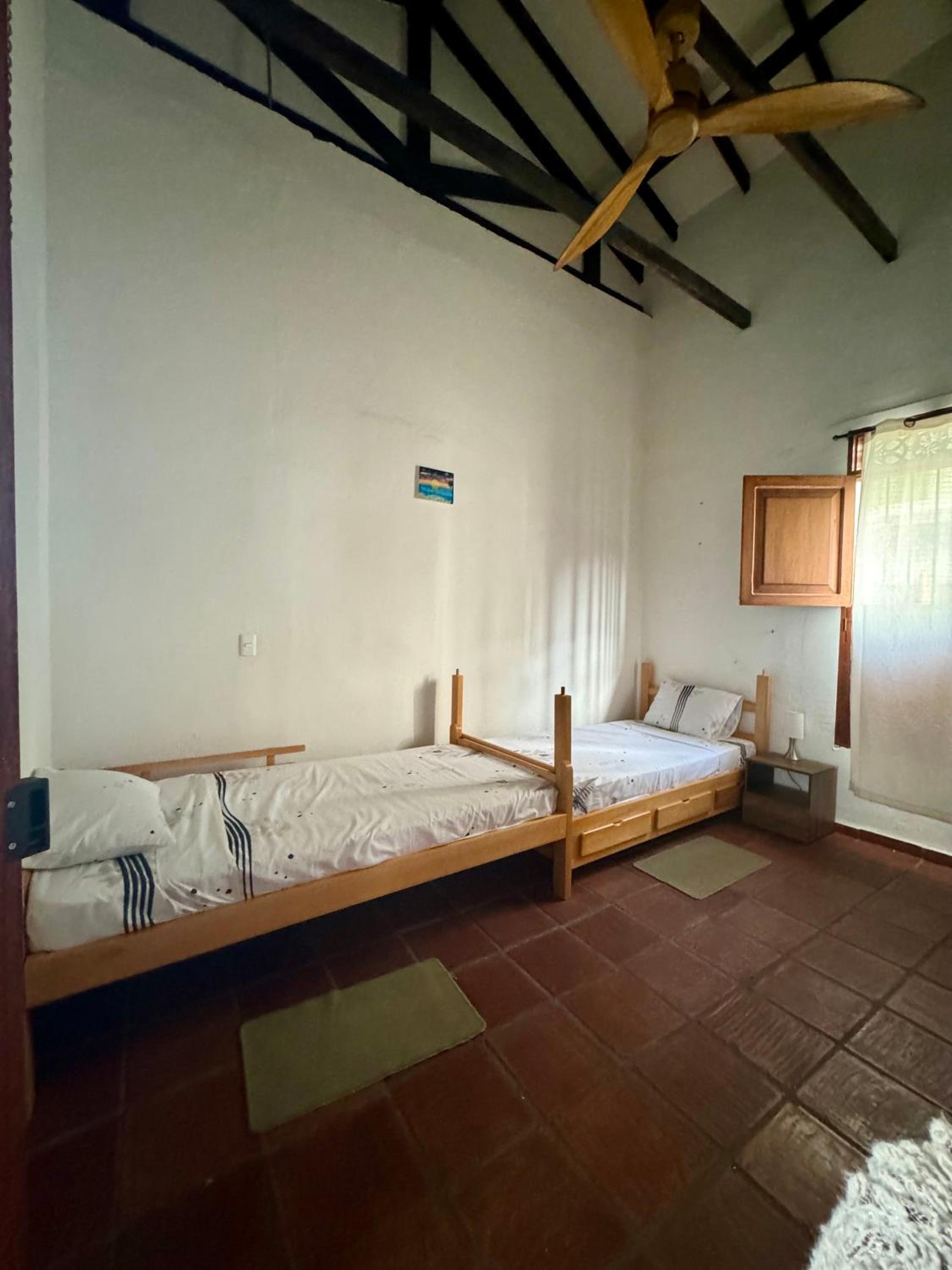 Bunk Bed in Mixed Dormitory Room