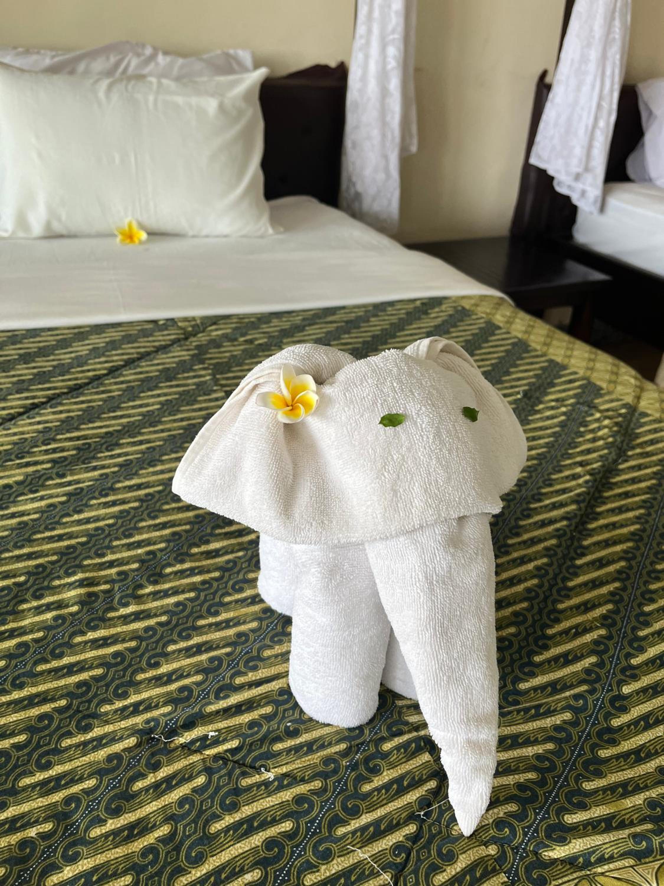 Deluxe Double or Twin Room with Mountain View - Photo 17