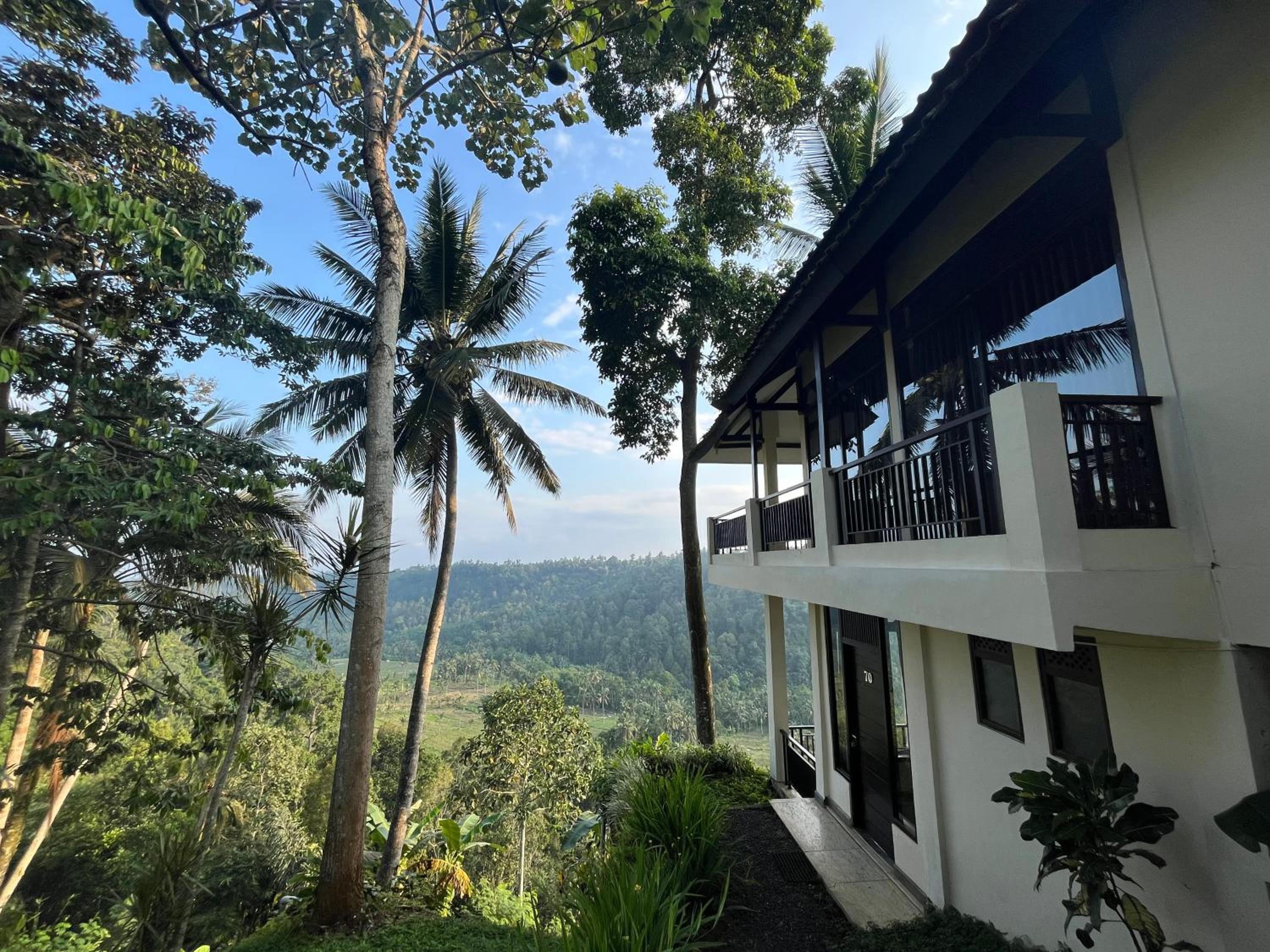 Deluxe Double or Twin Room with Mountain View - Photo 15