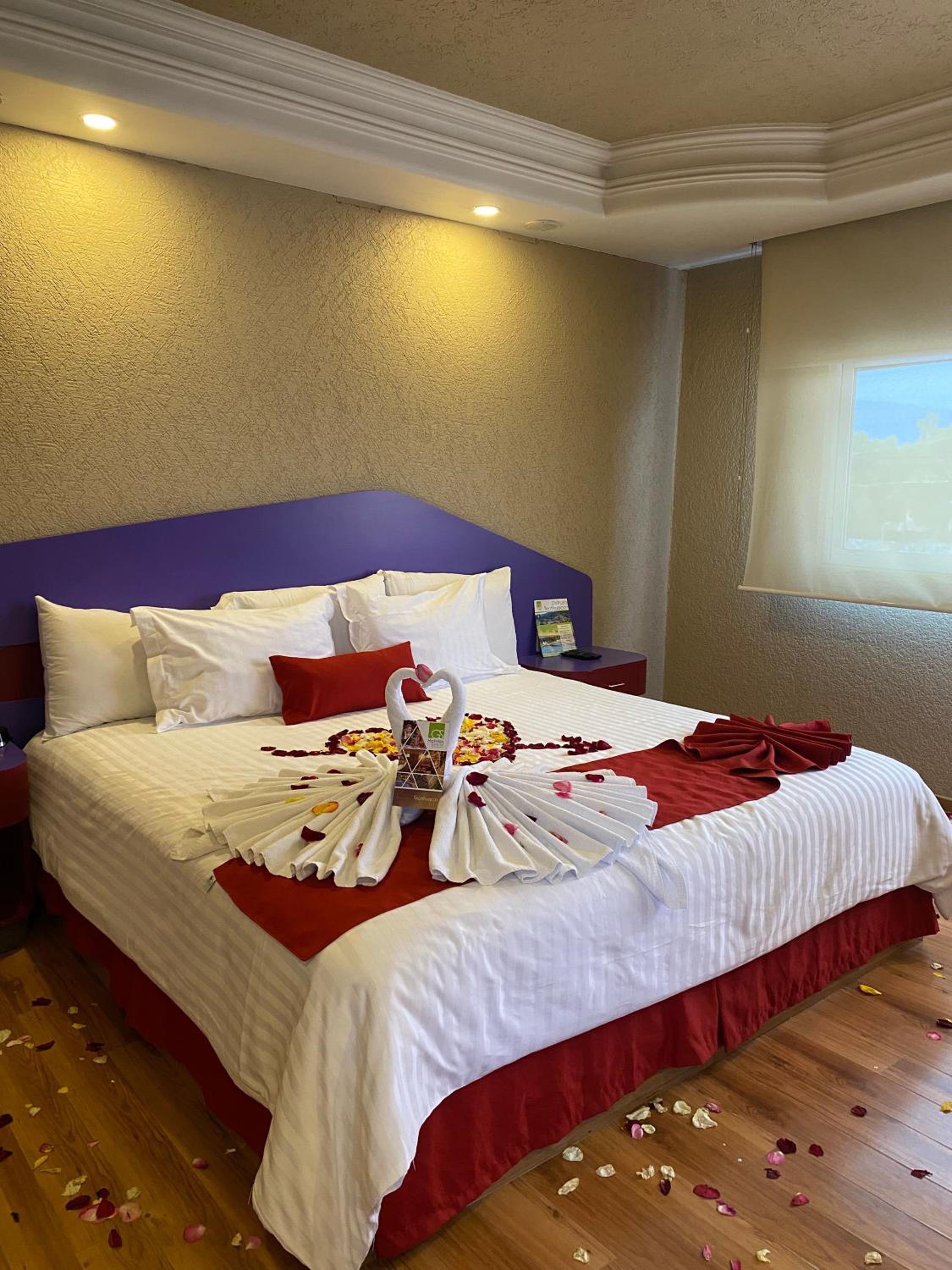 Executive Suite - Photo 4