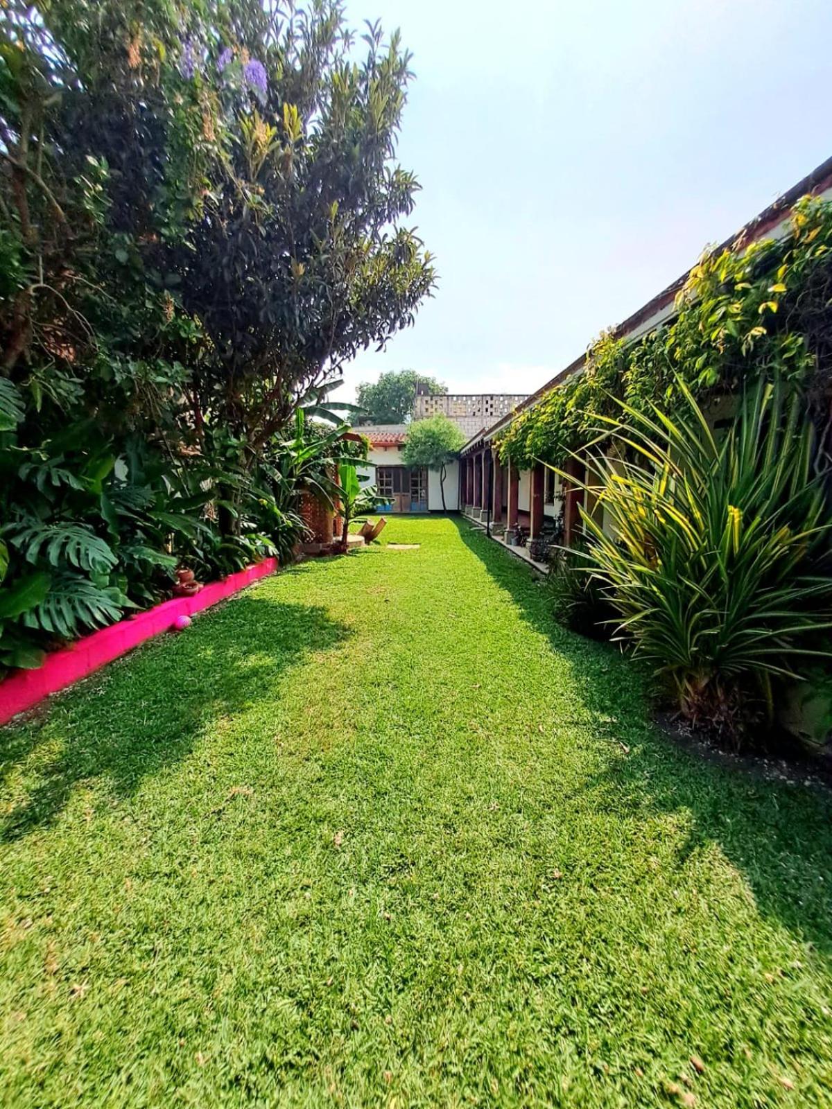 Twin Room with Garden View photo 2