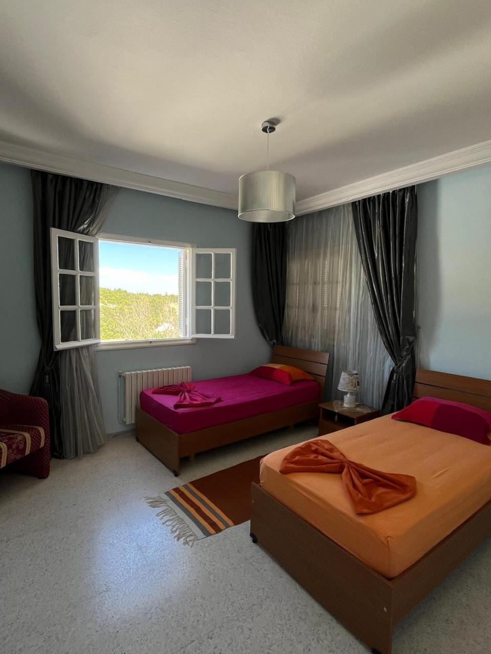 Twin Room photo 2