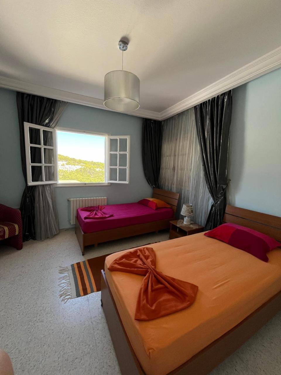 Twin Room photo 1