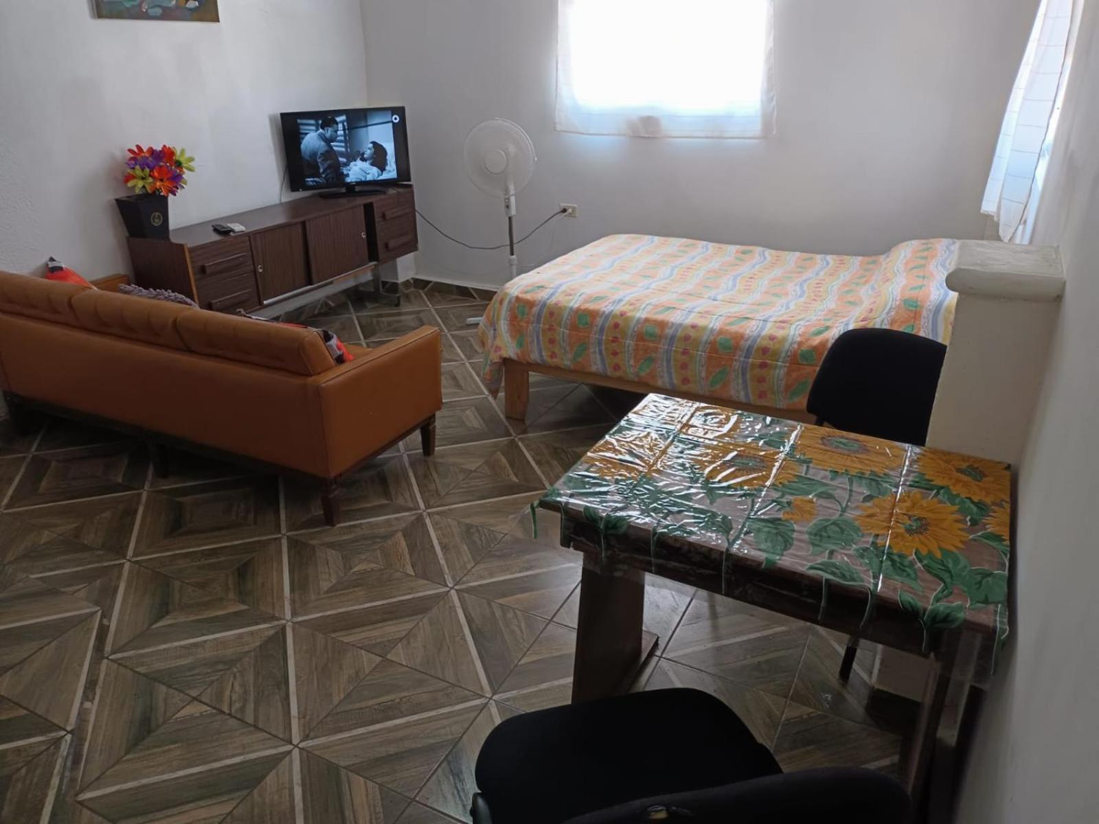 One-Bedroom Apartment photo 1