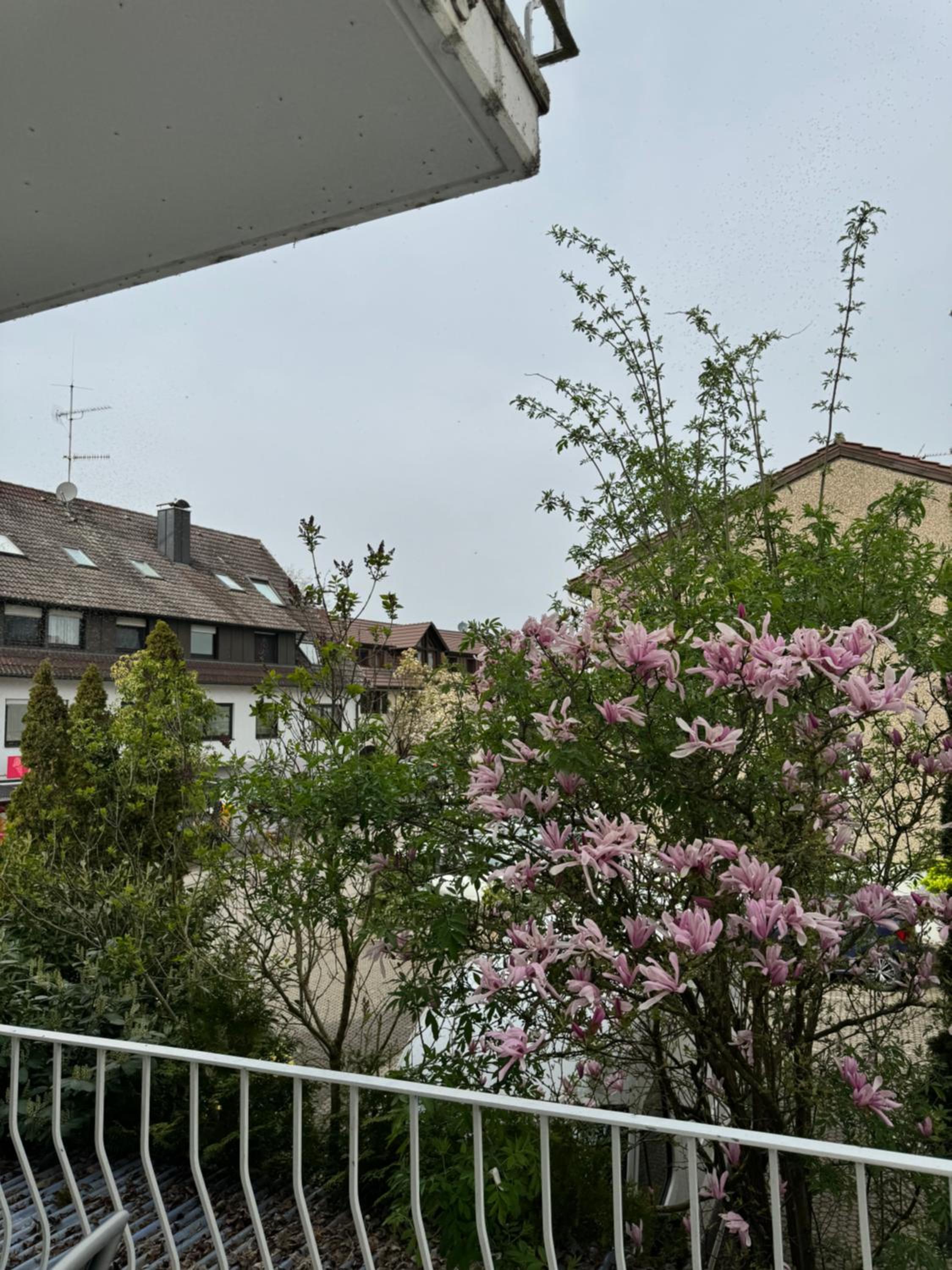 带花园景观的三人间