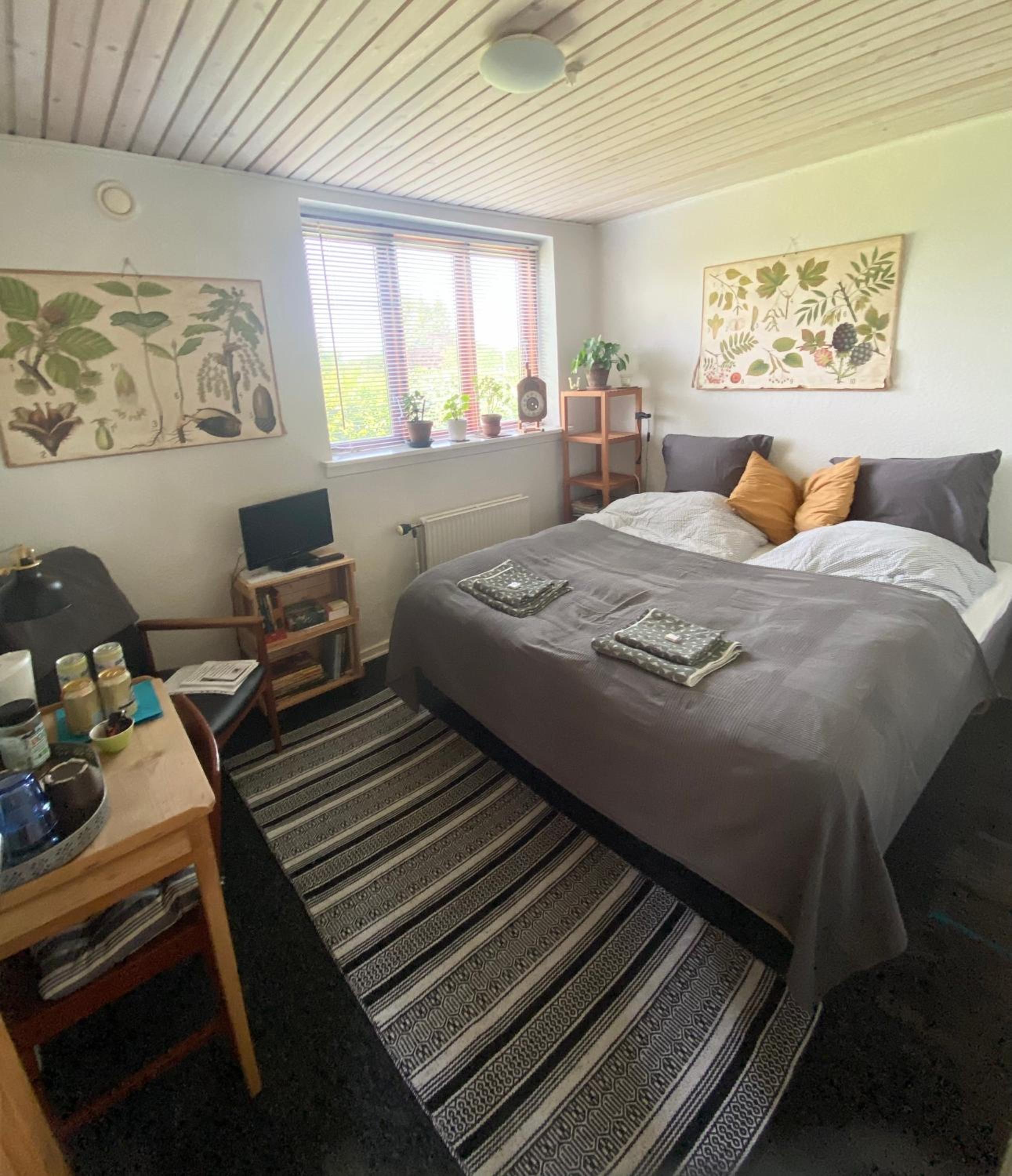 Double Room photo 1