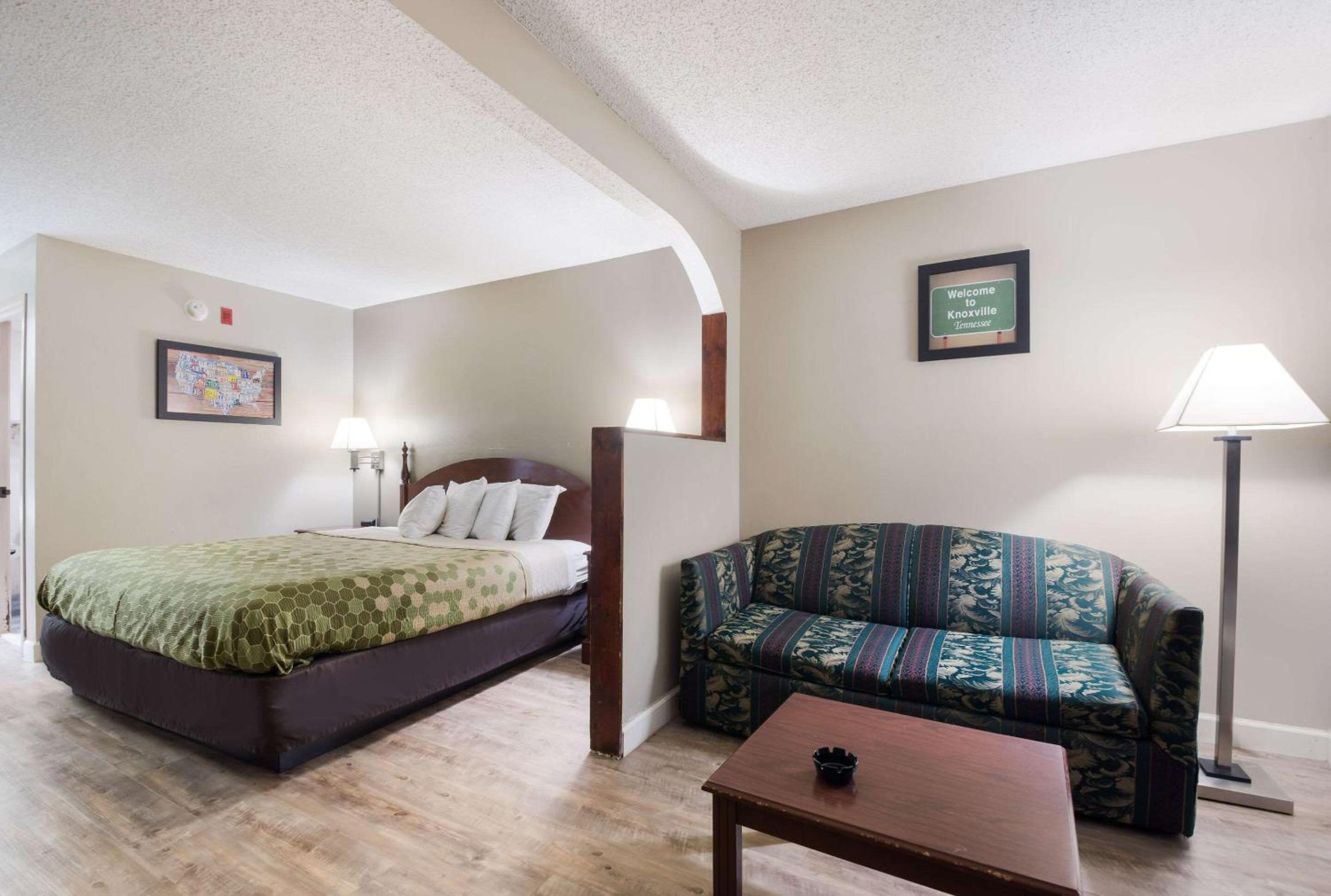 King Suite with Sofa Bed - Non-Smoking photo 1