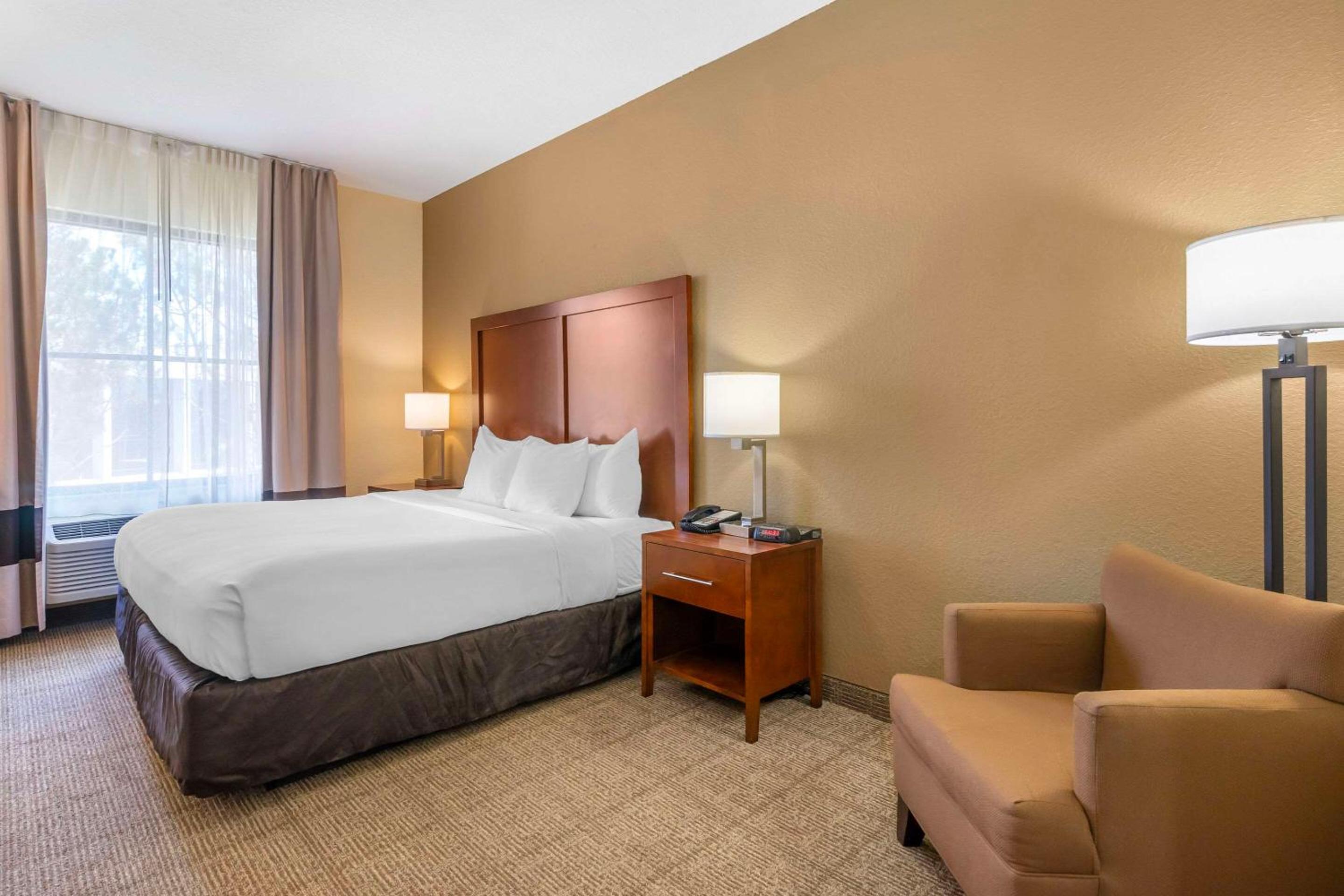 King Room - Photo 4