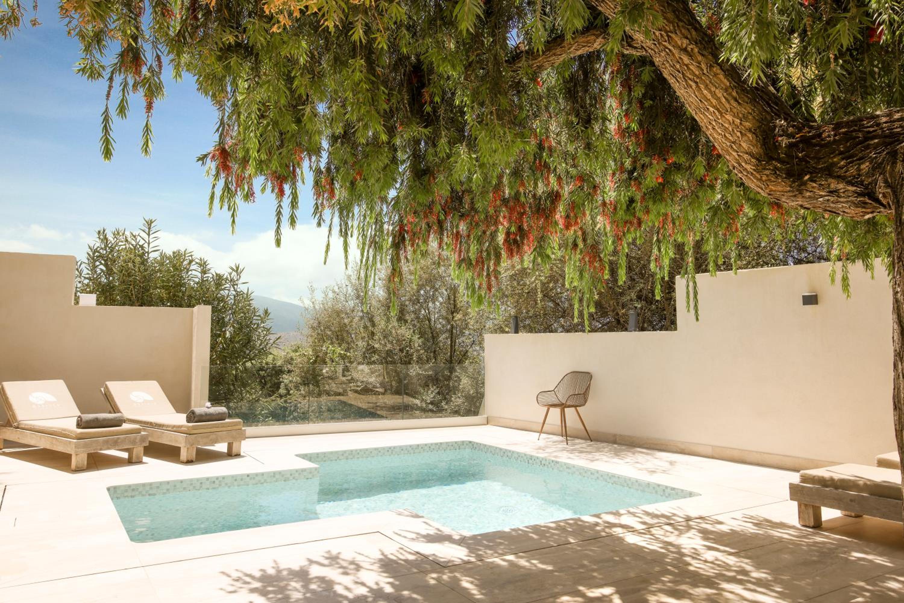 Suite with Private Pool - Photo 4