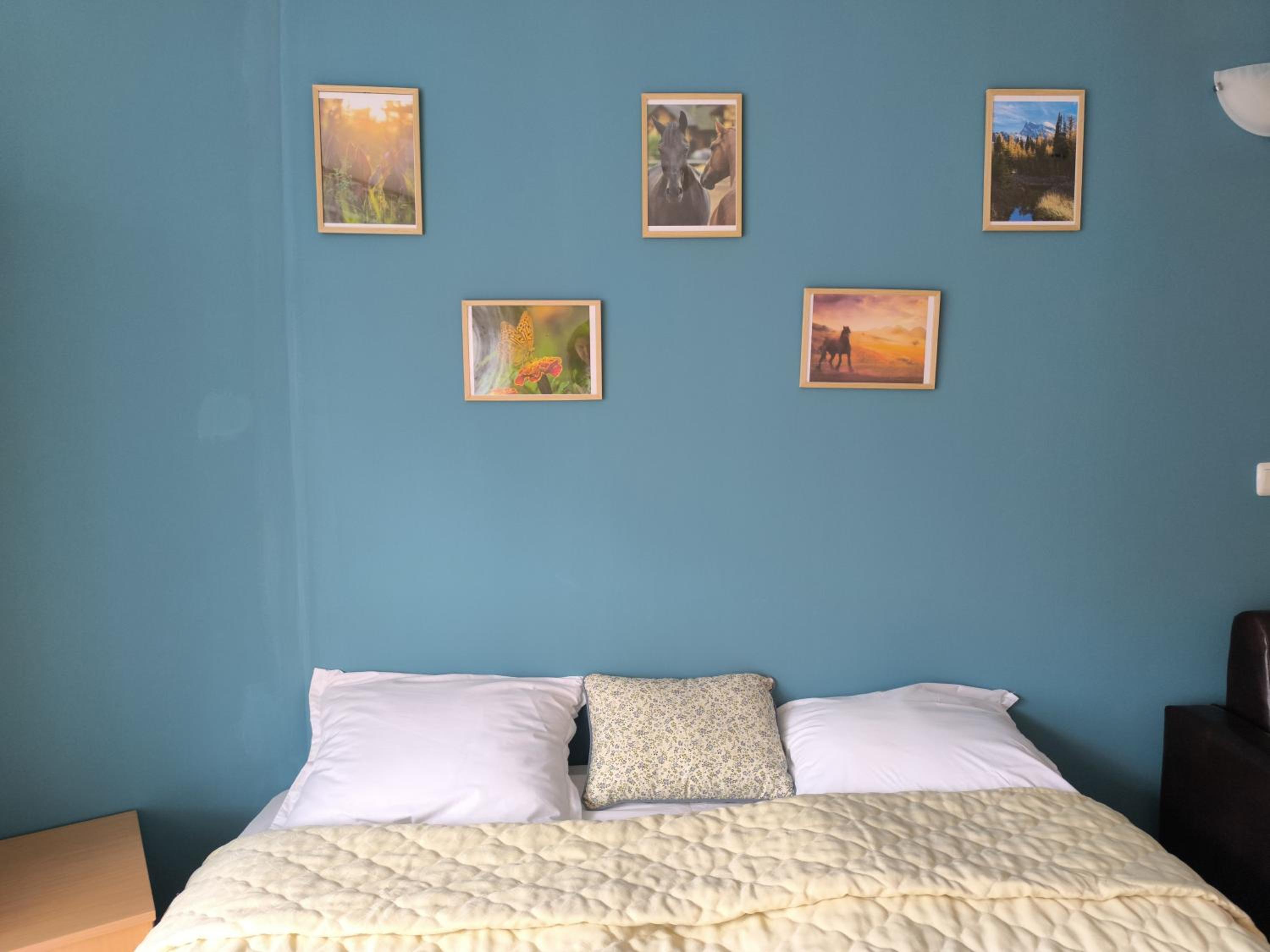 One-Bedroom Apartment photo 3