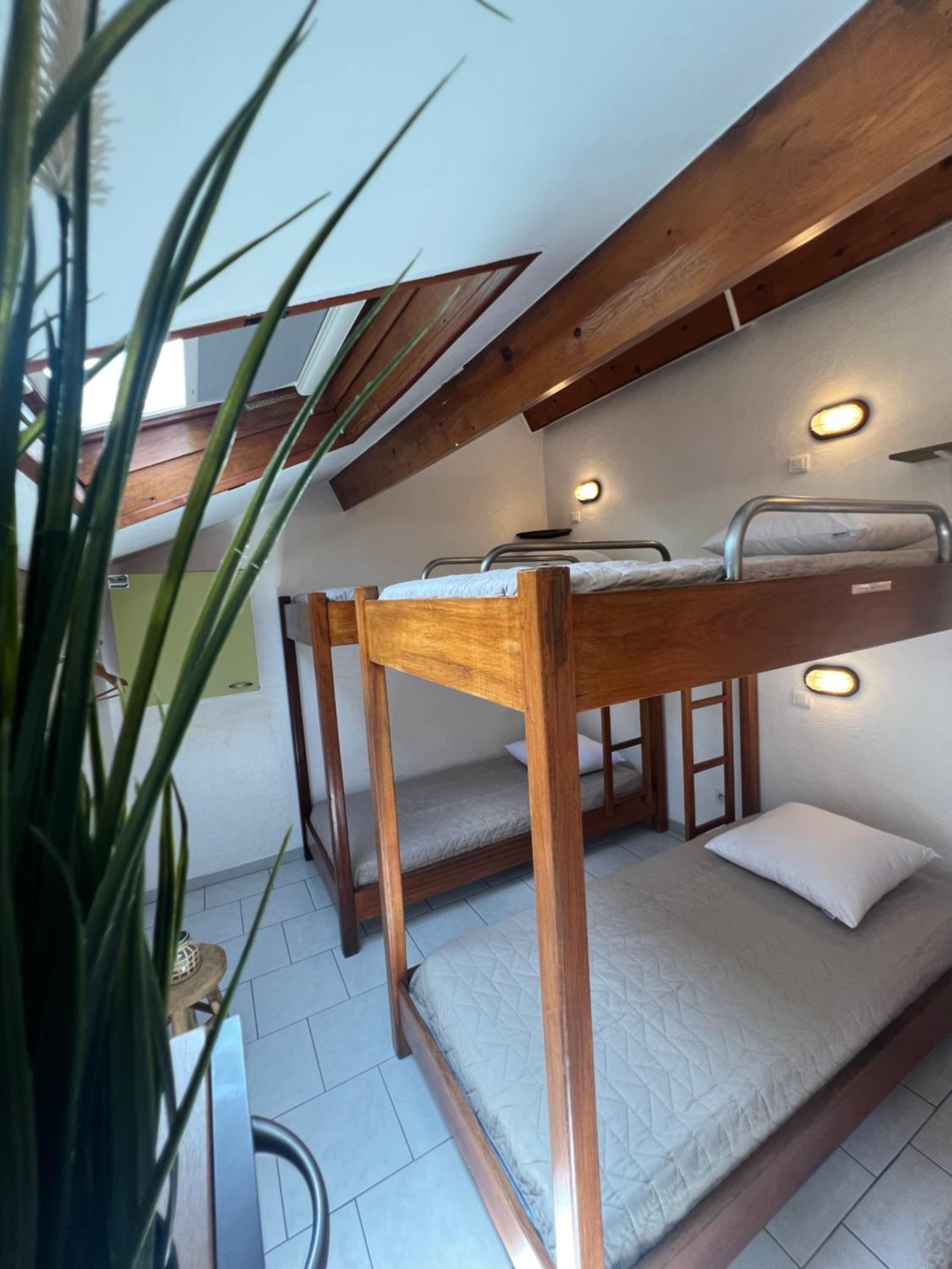 Bunk Bed In Mixed Dormitory Room