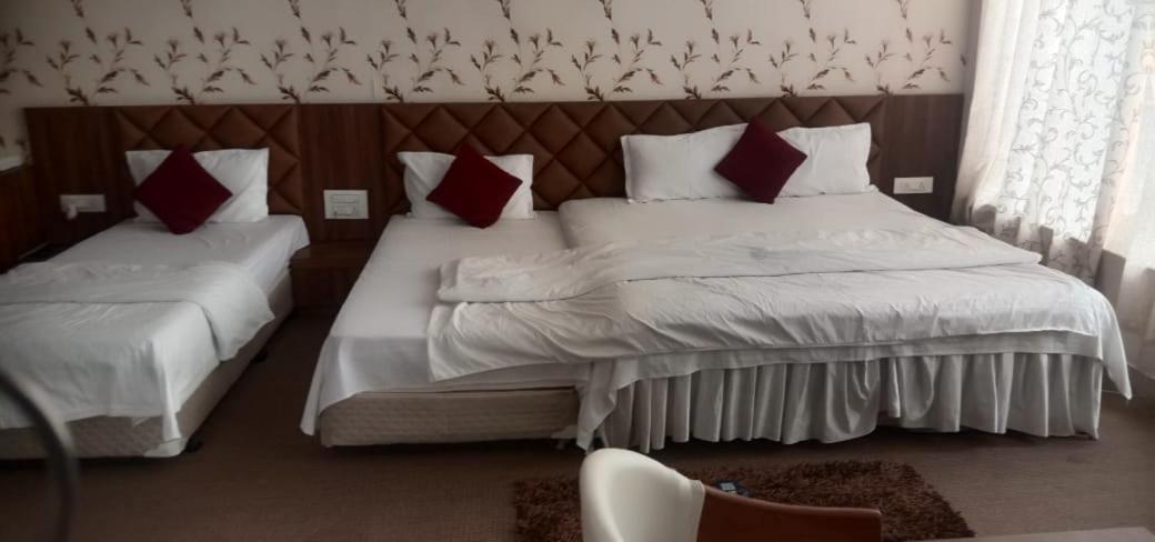 Deluxe Double Room photo 2
