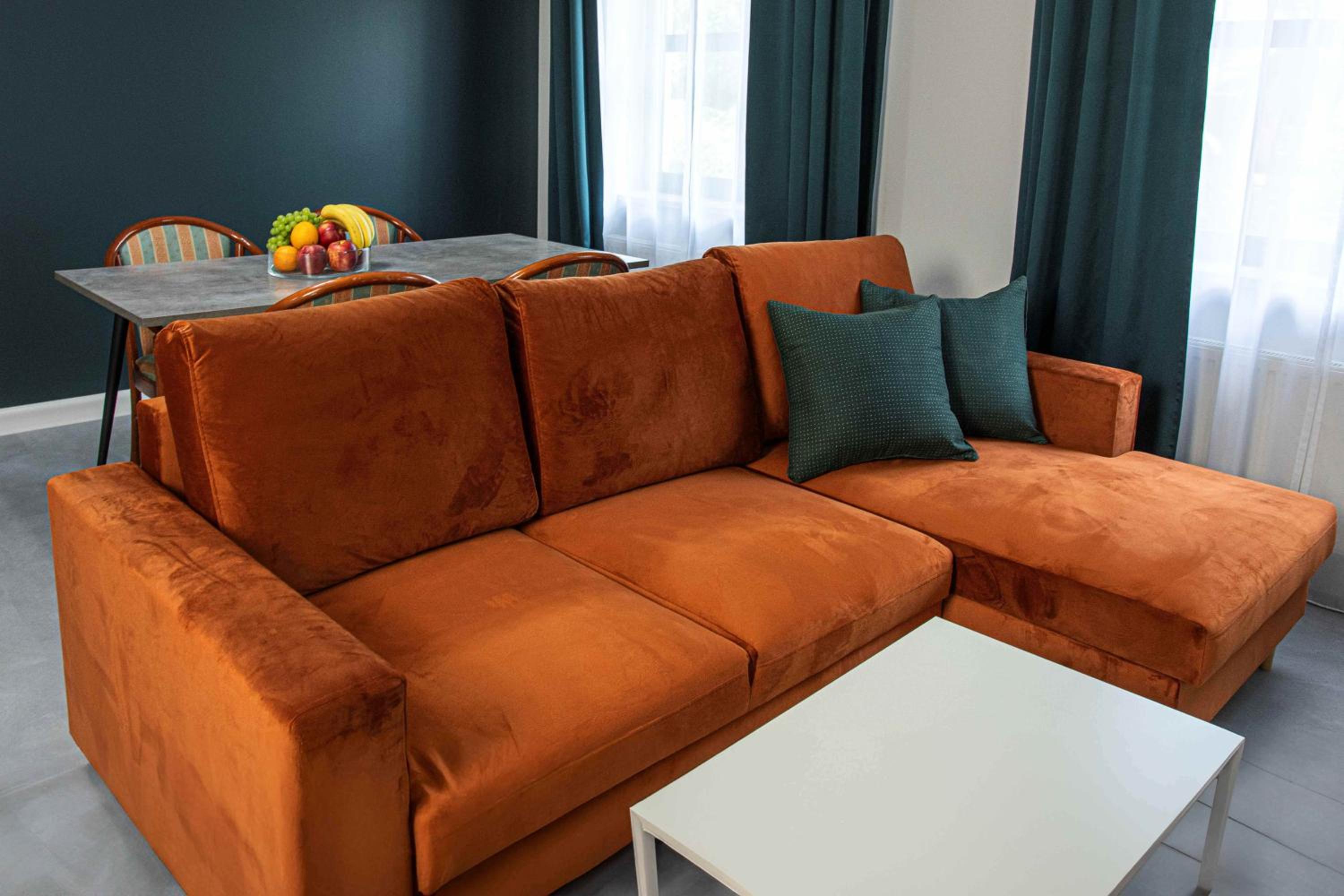 One-Bedroom Deluxe Apartment - Photo 3