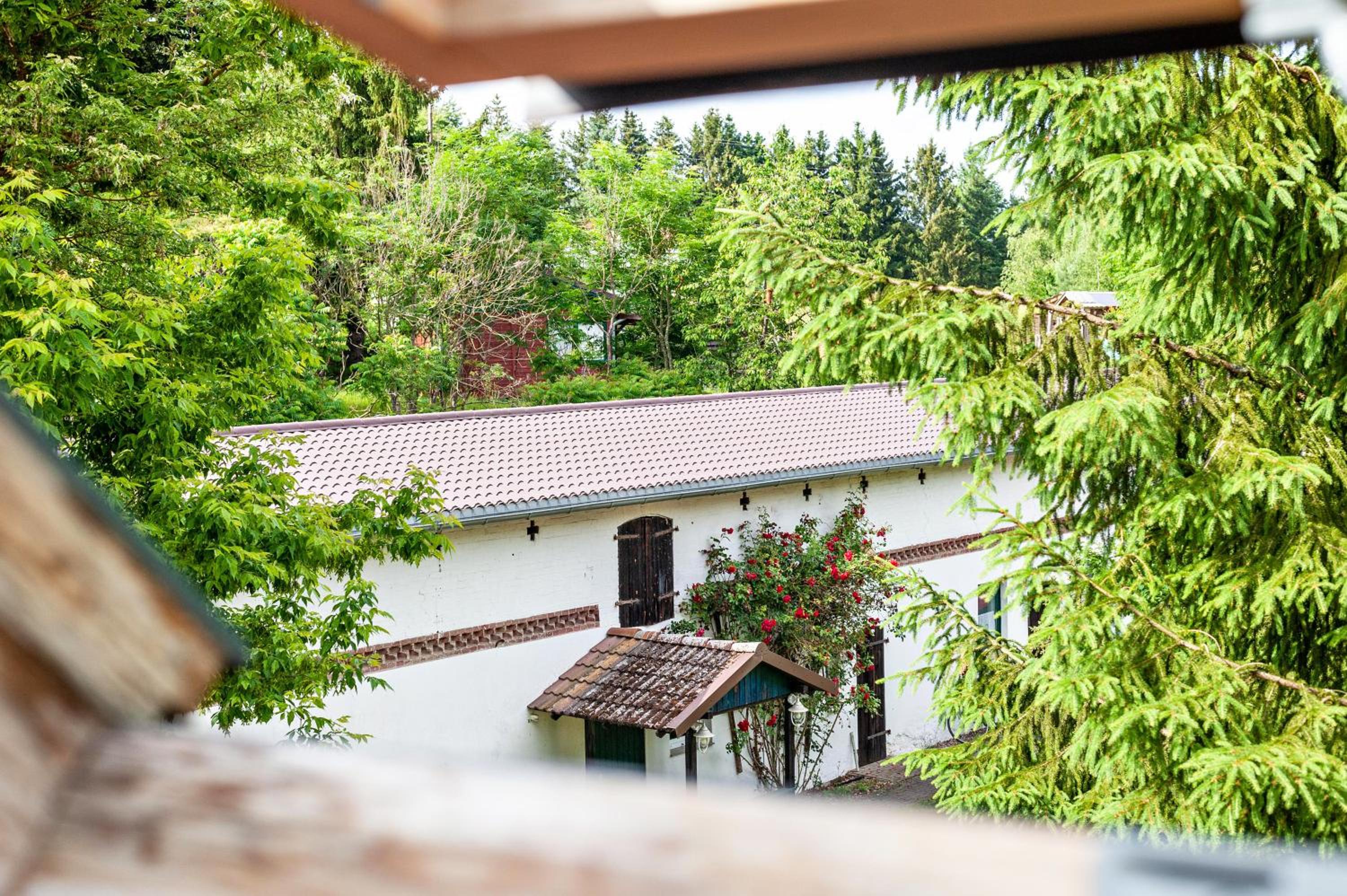 Superior Apartment with Sauna photo 3