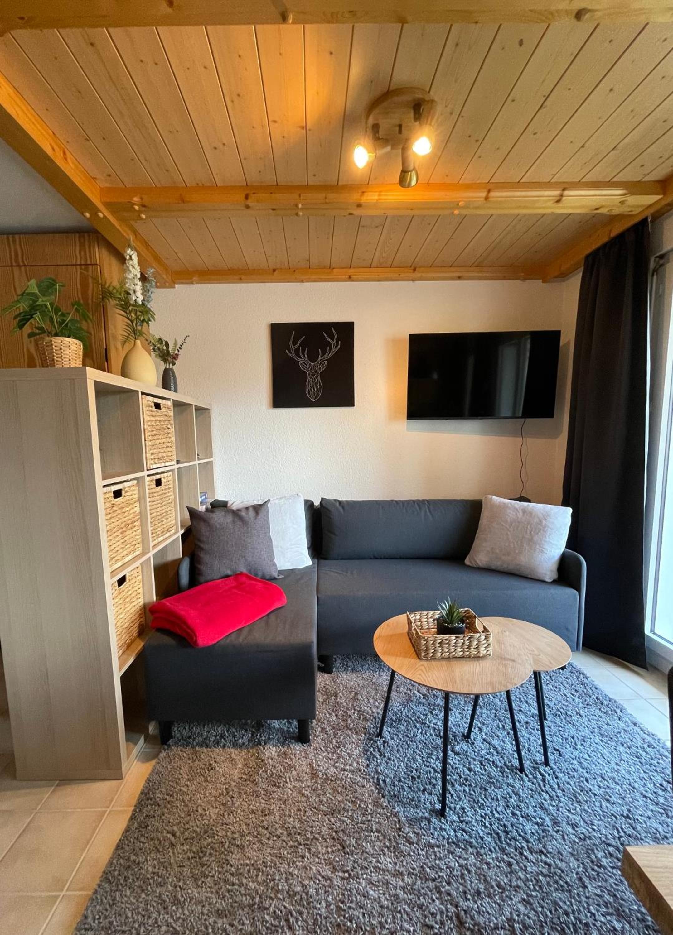 Apartment with Mountain View photo 1