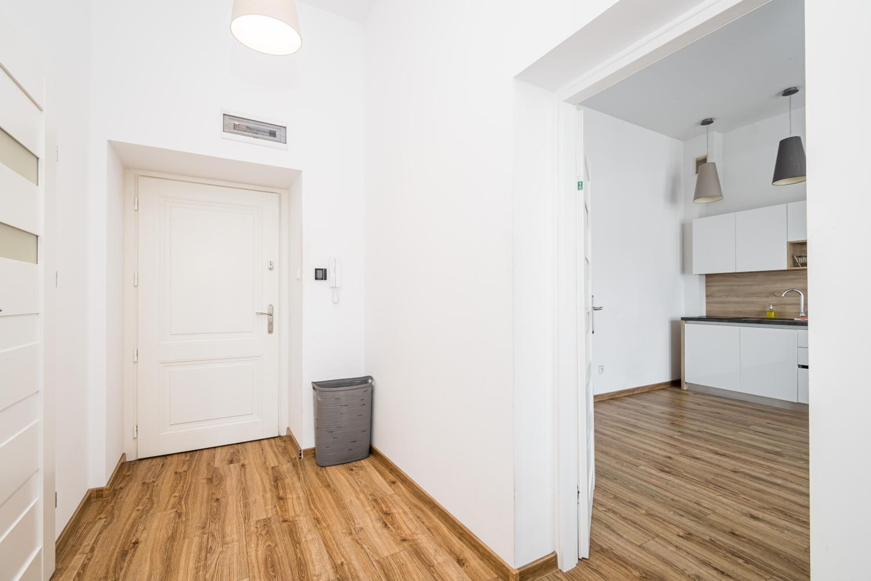 Deluxe One-Bedroom Apartment - Photo 26