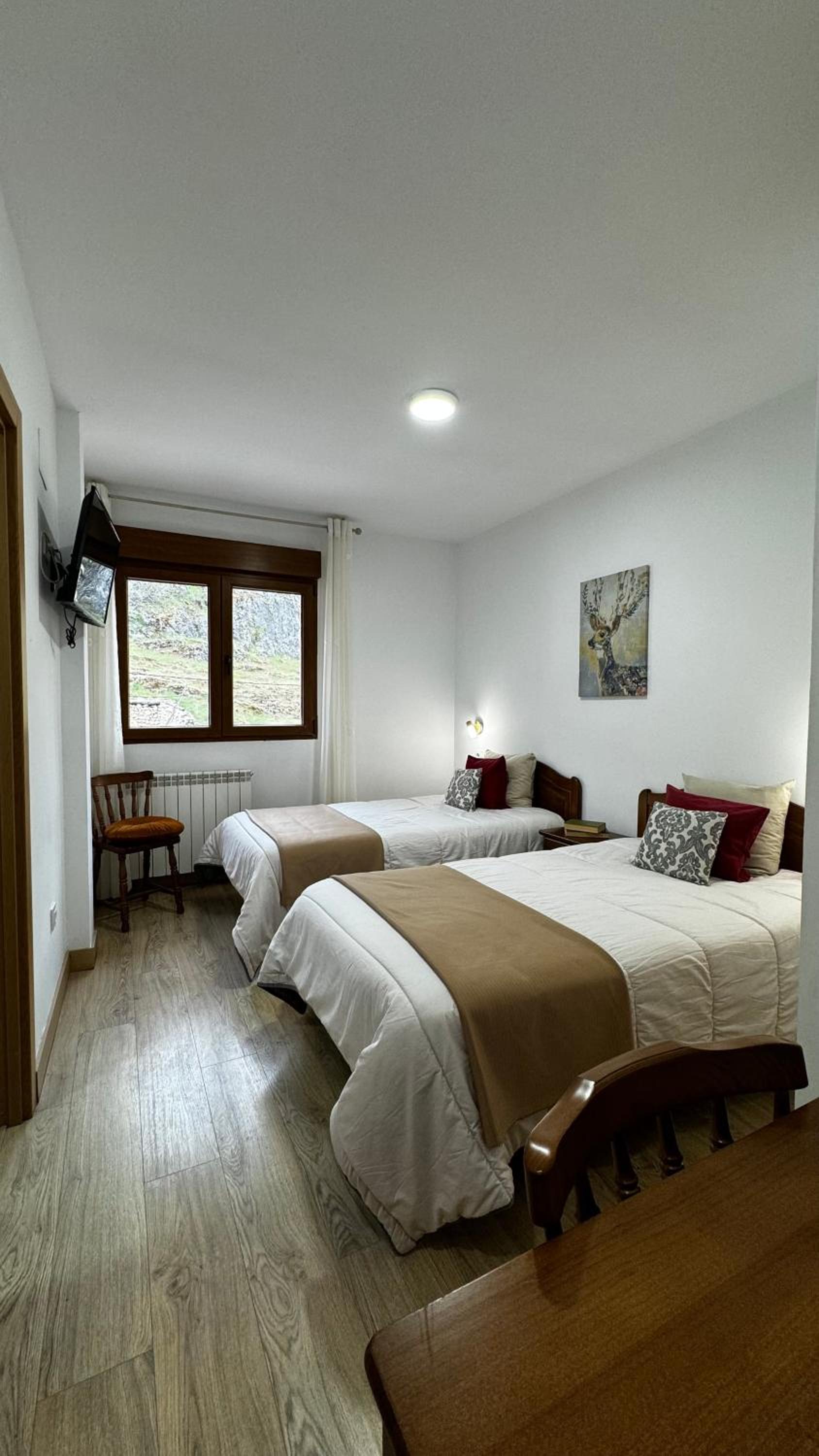 Twin Room photo 3