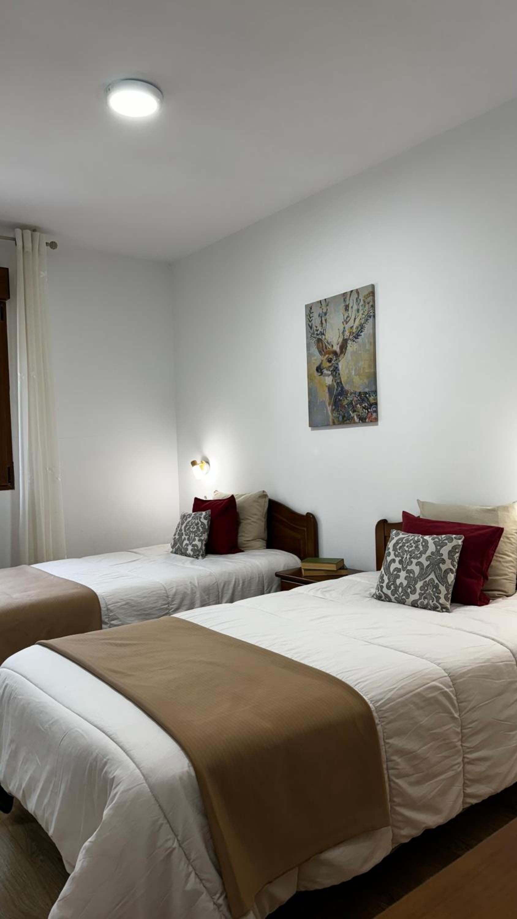 Twin Room photo 2