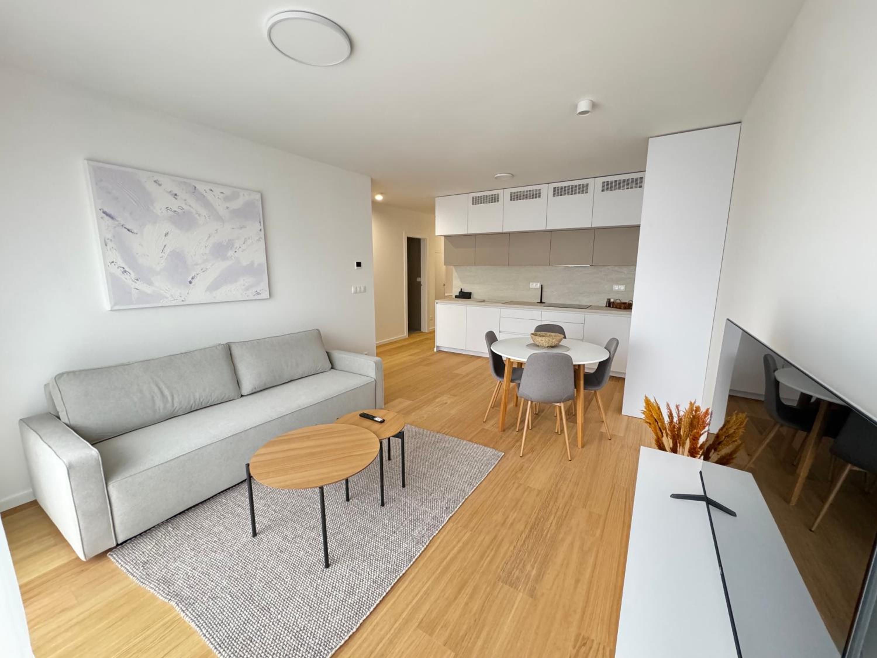 Superior One-Bedroom Apartment