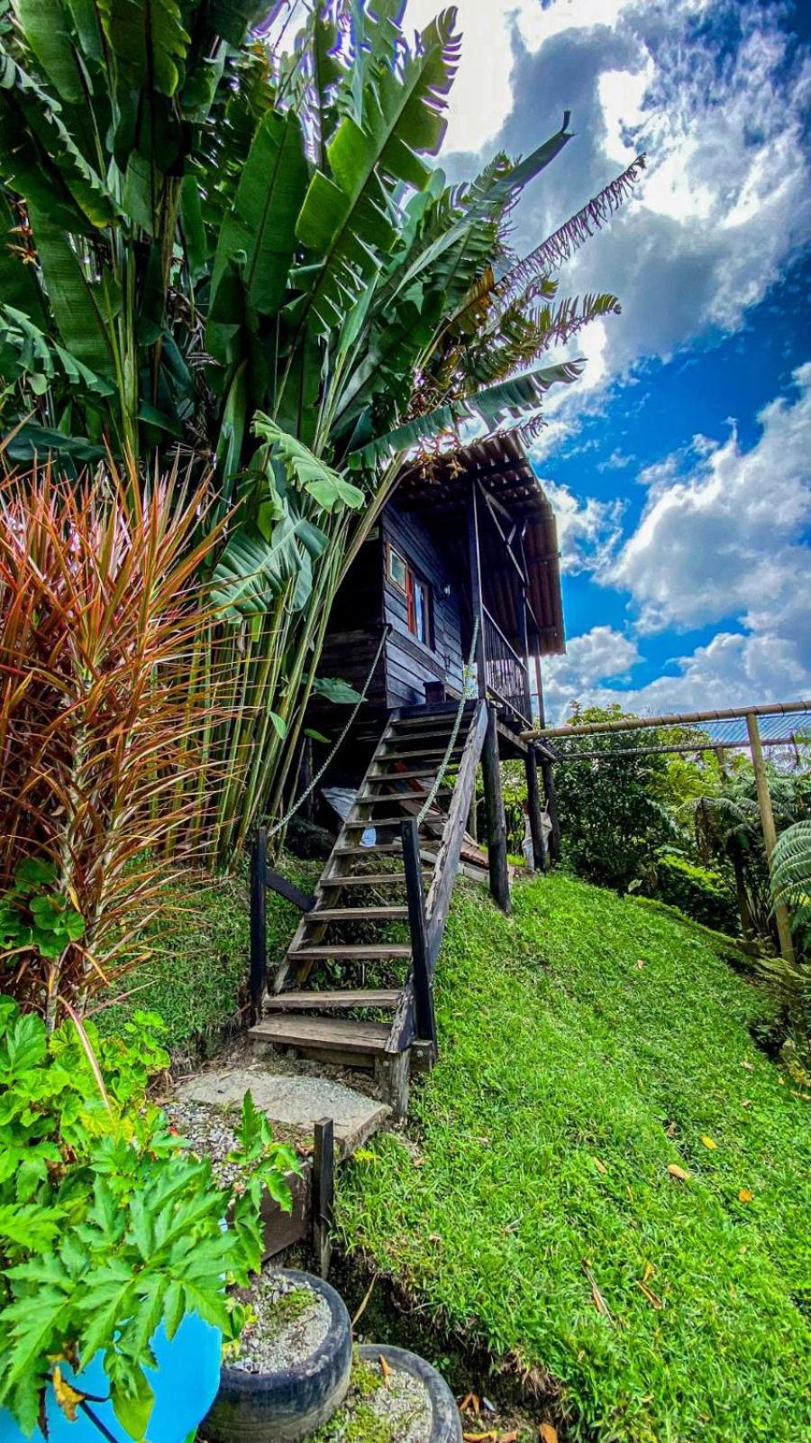 Family Bungalow photo 3