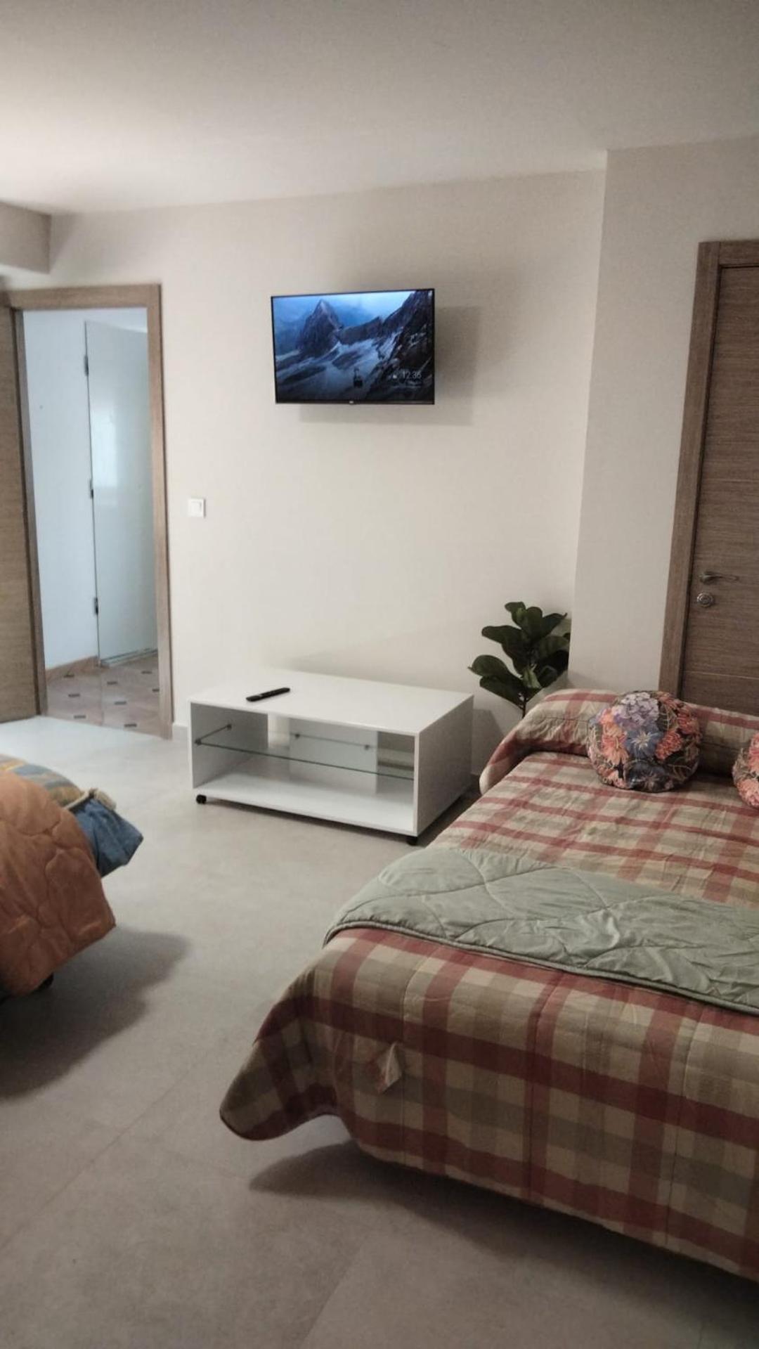 Apartment with Terrace photo 3