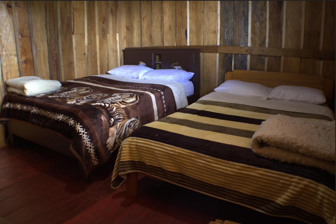 Standard Twin Room photo 3