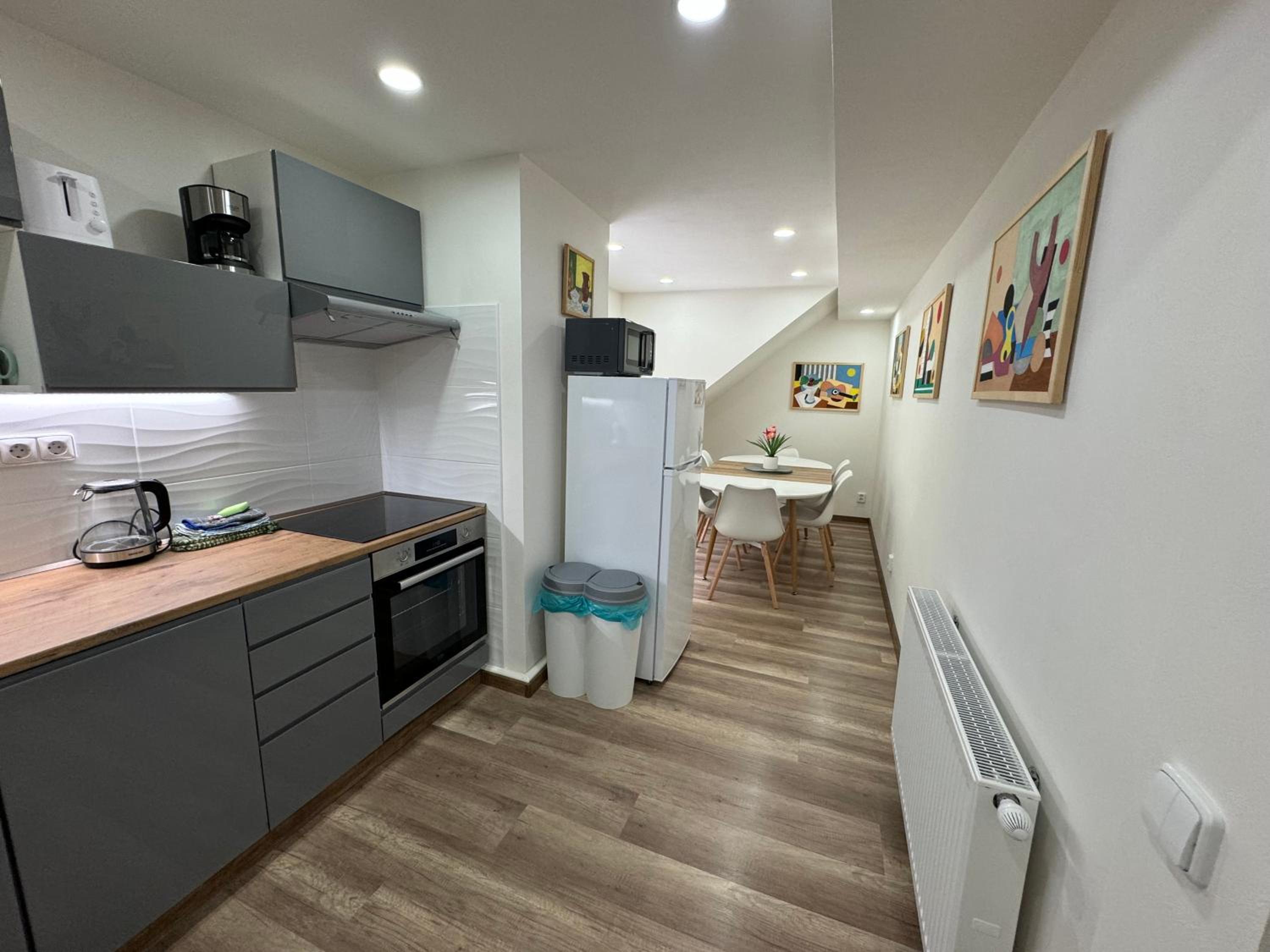 Apartment with Terrace - Photo 4