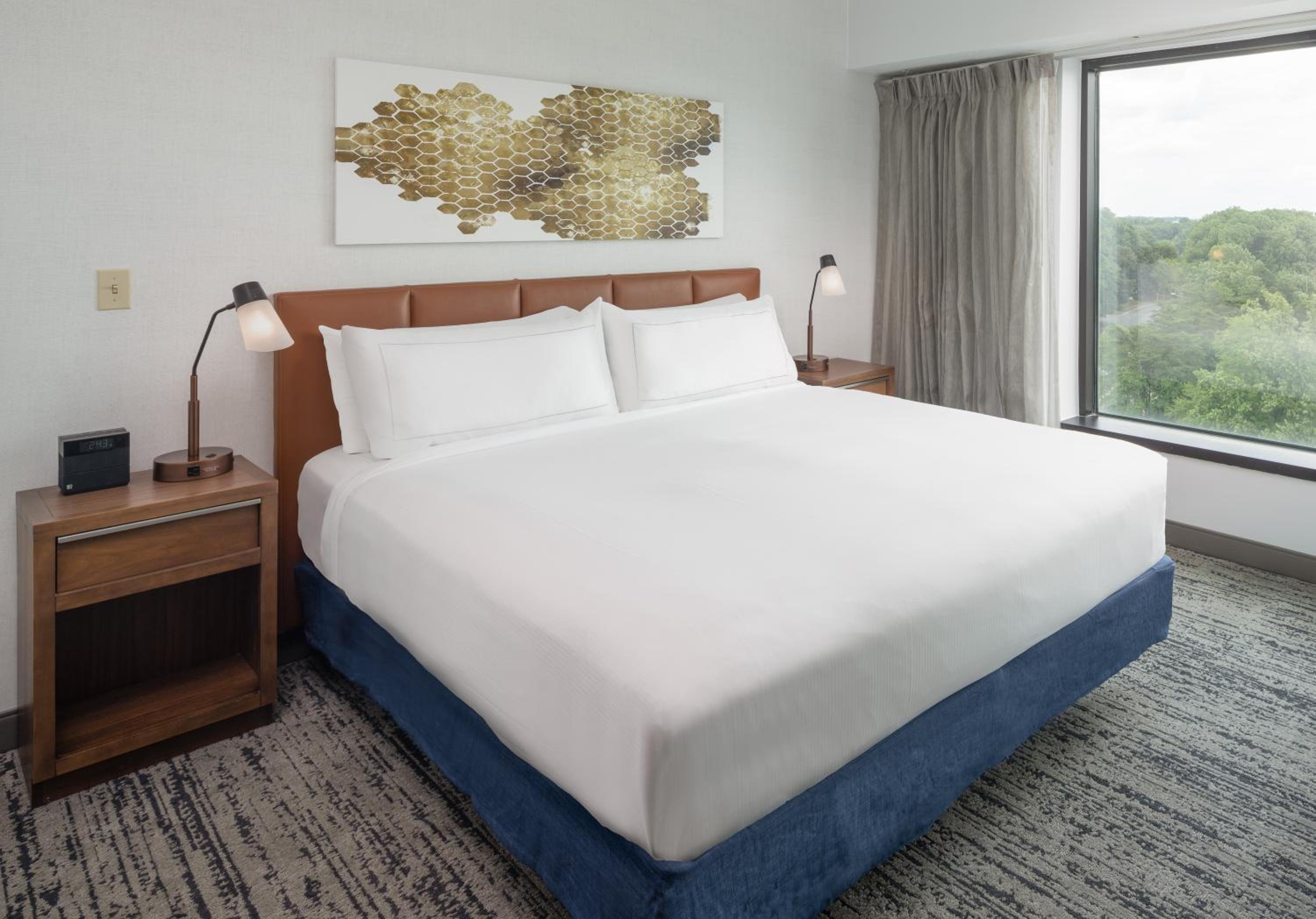 King Room - Photo 4