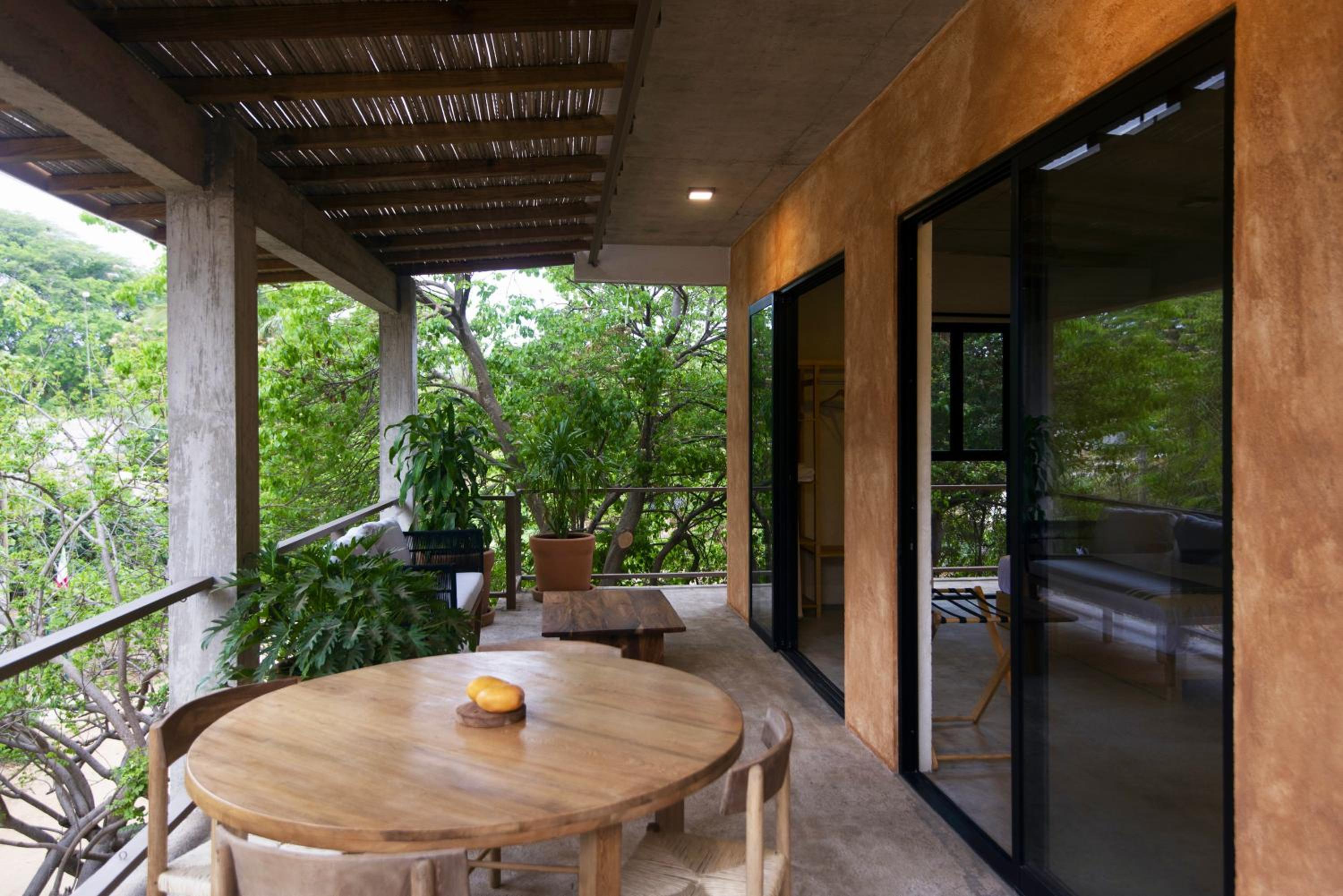 Studio with Terrace photo 3