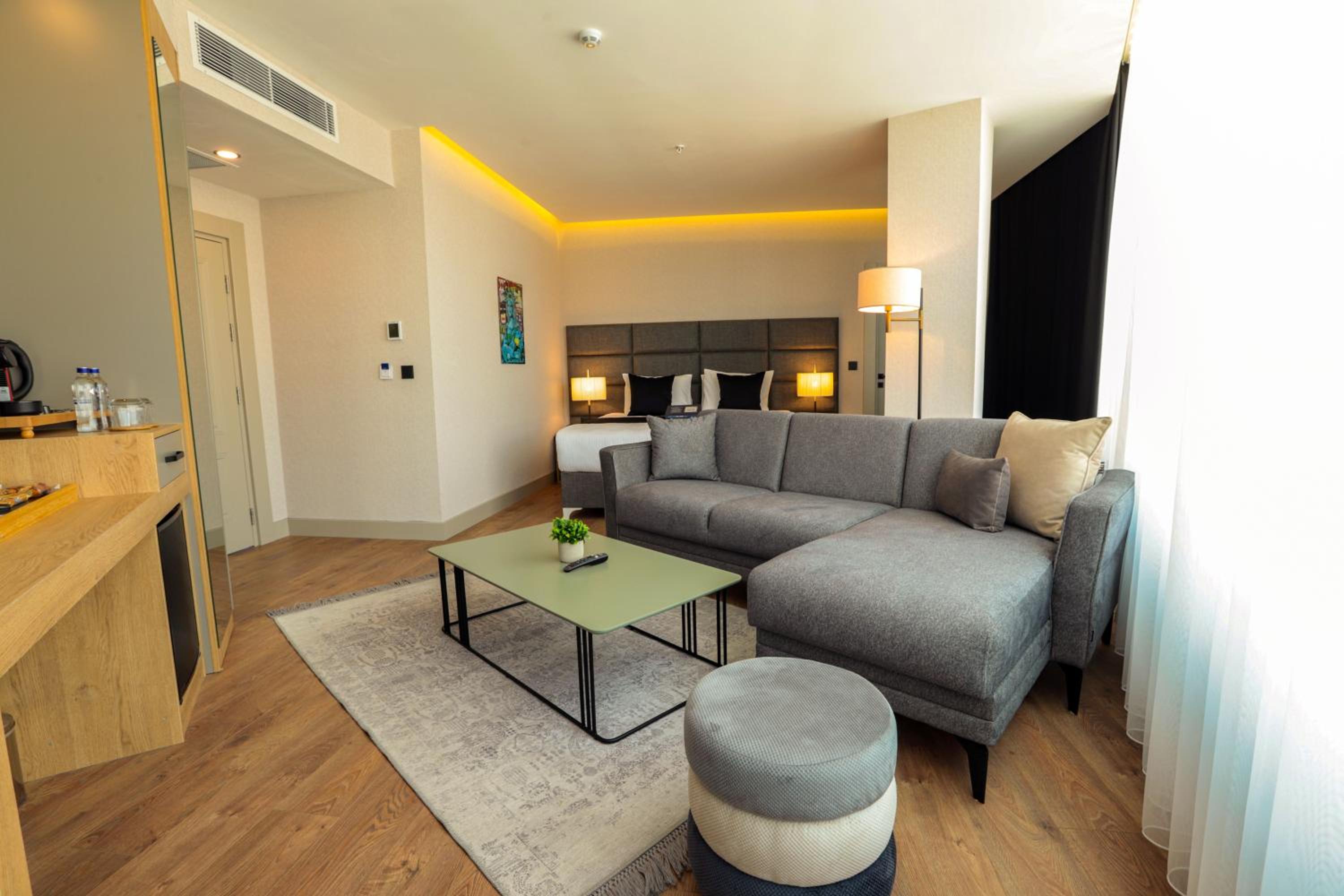 Deluxe King Suite photo 2