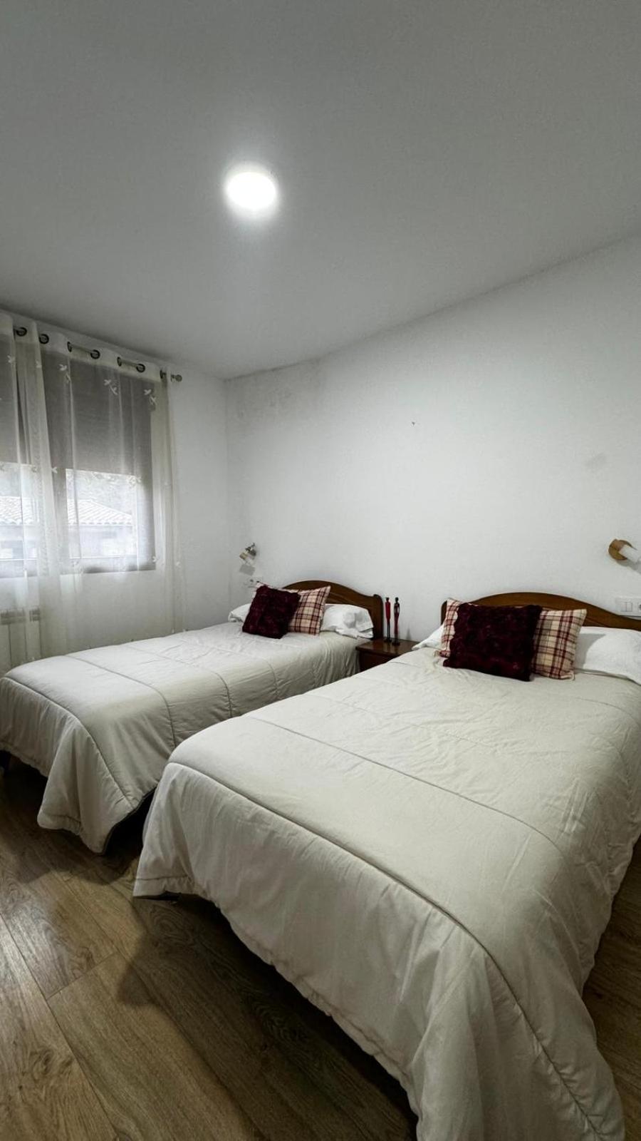 Twin Room photo 2