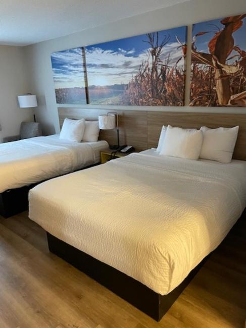 Queen Room with Two Queen Beds - Non-Smoking - Photo 4