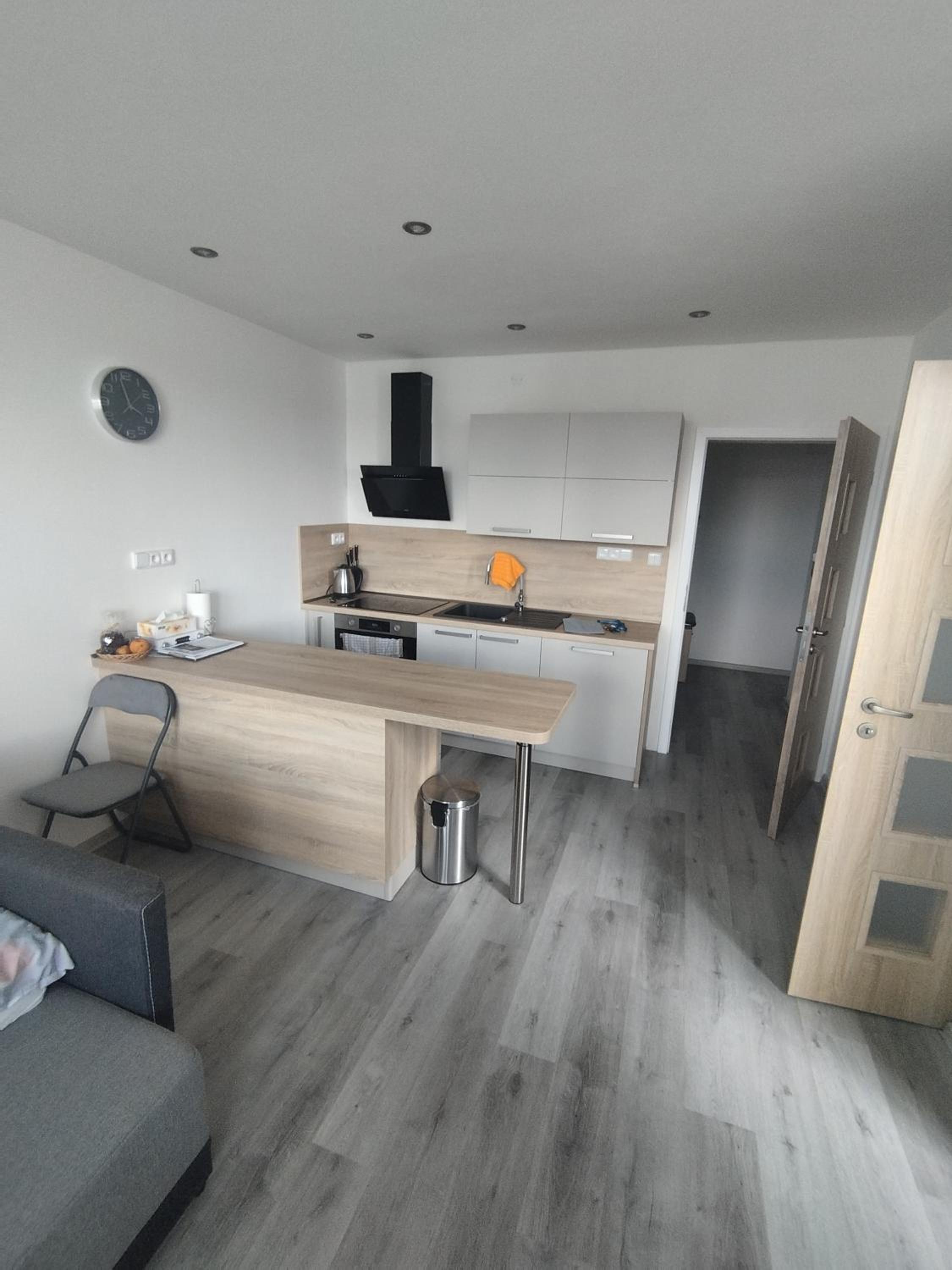 One-Bedroom Apartment photo 3