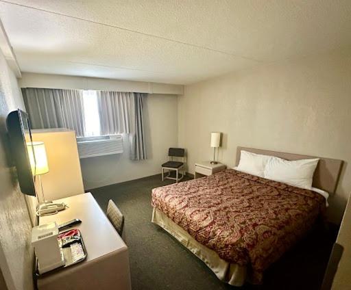 Economy Single Room