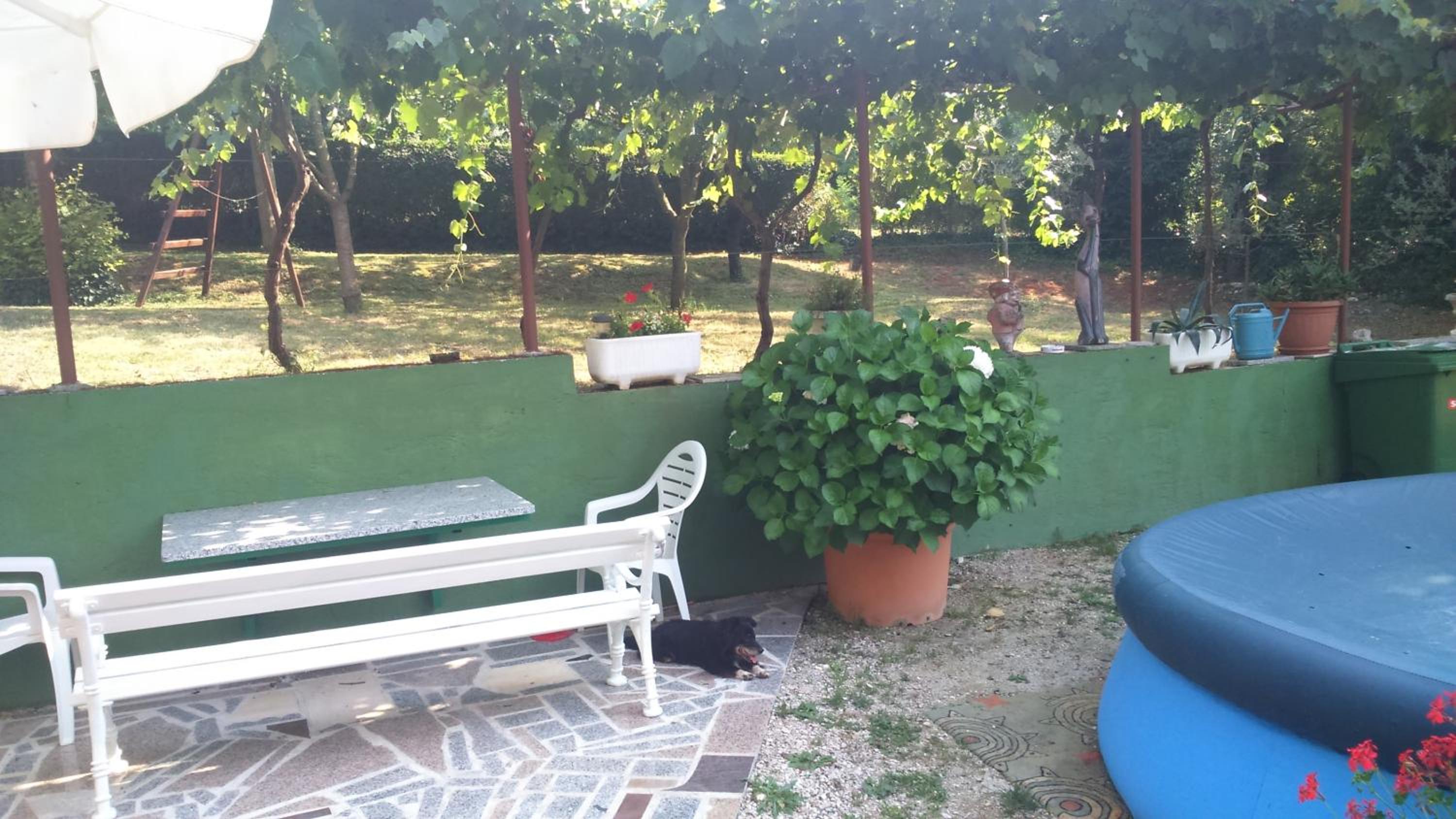 Studio with Terrace - Photo 14