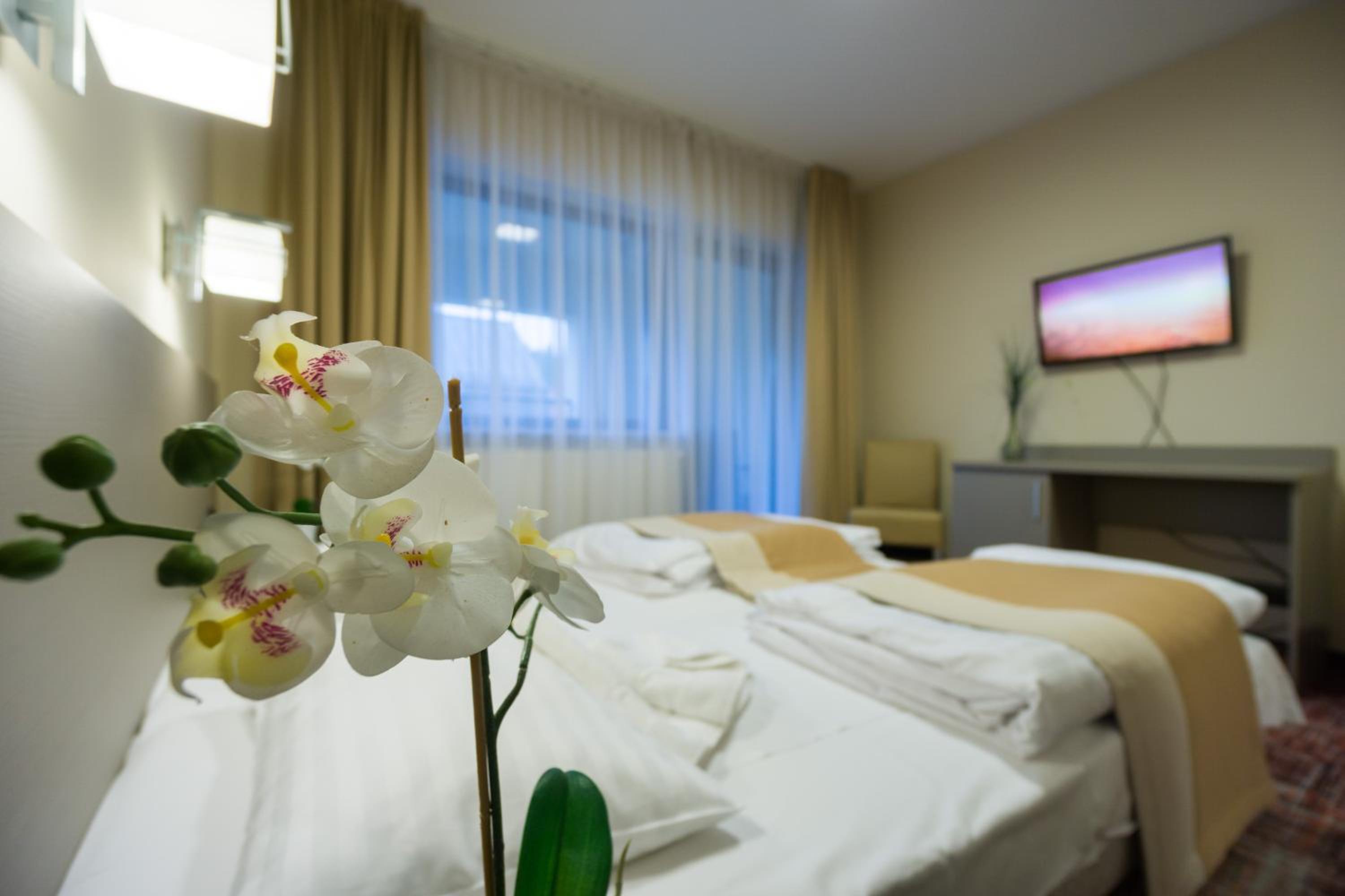 Double or Twin Room - Photo 2