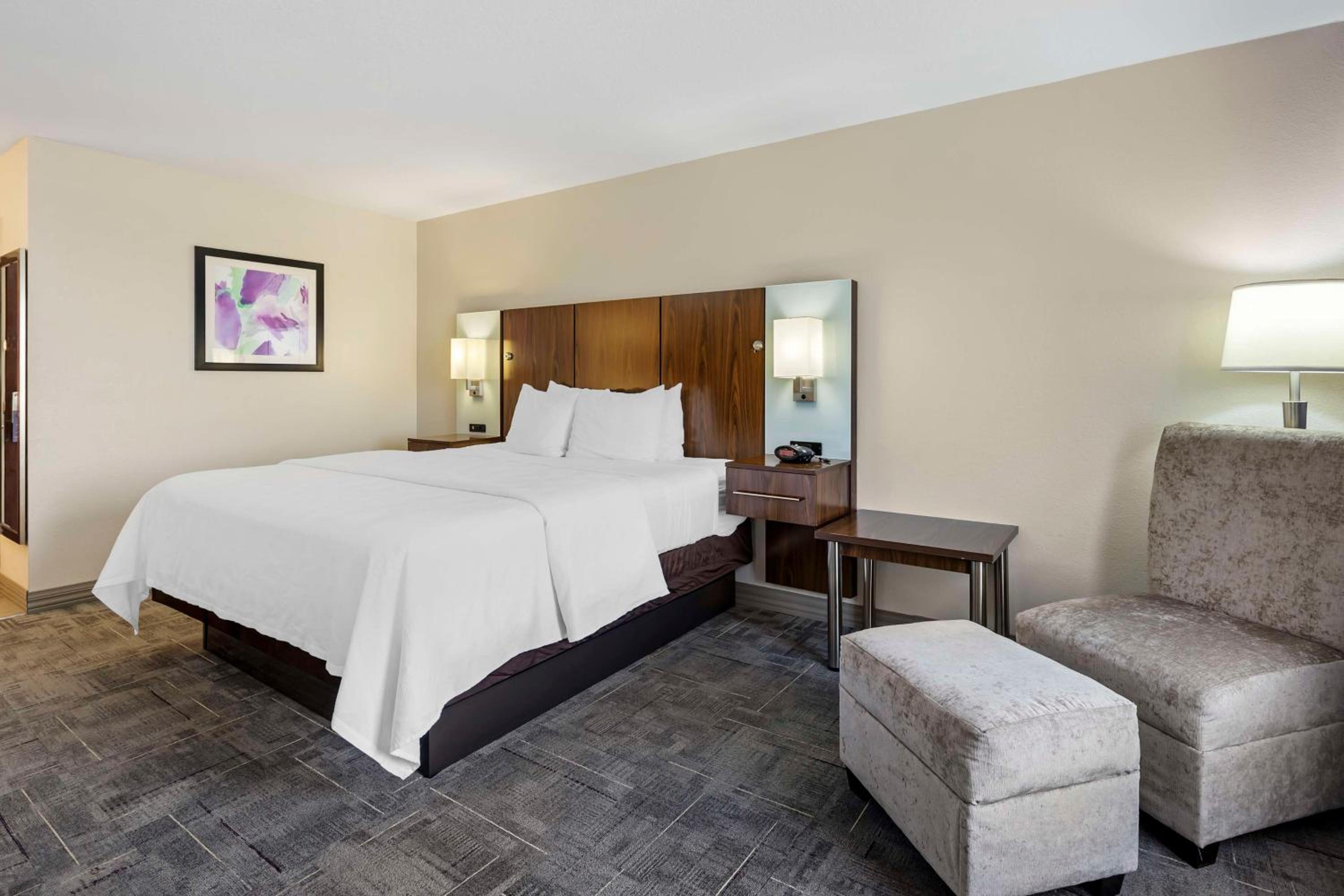 King Room - Non-Smoking - Photo 4